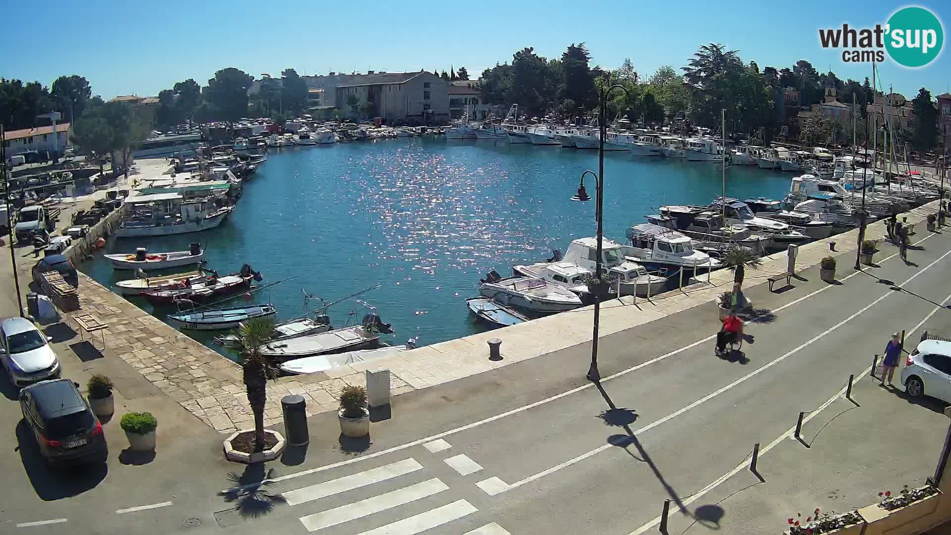 Novigrad webcam – old marina “Mandrač”
