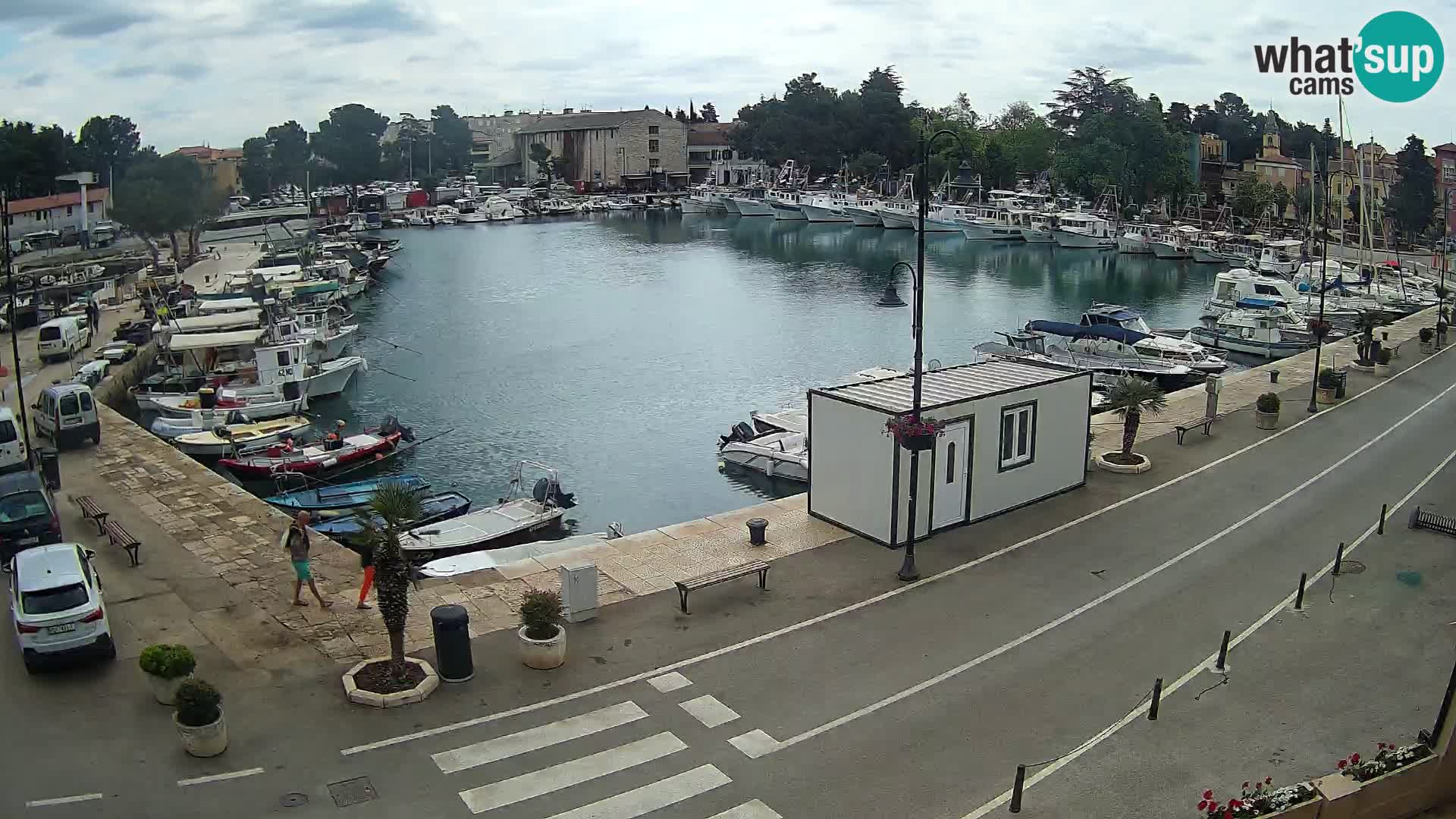 Novigrad – puerto viejo “Mandrač”