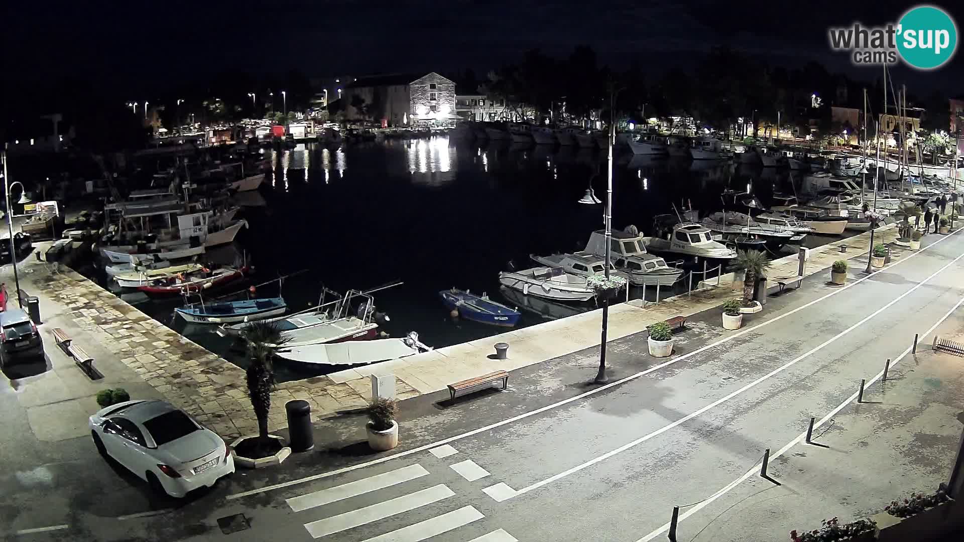 Novigrad webcam – old marina “Mandrač”