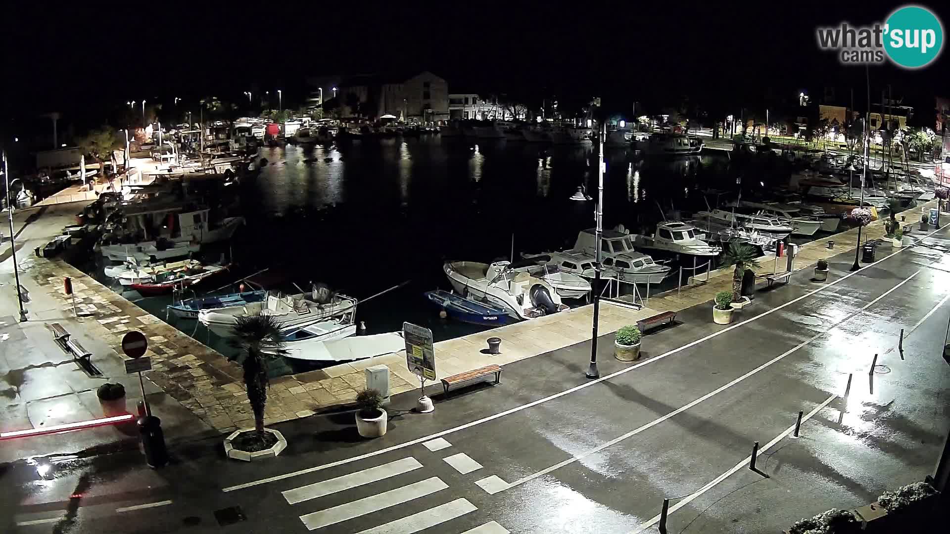 Novigrad webcam – old marina “Mandrač”