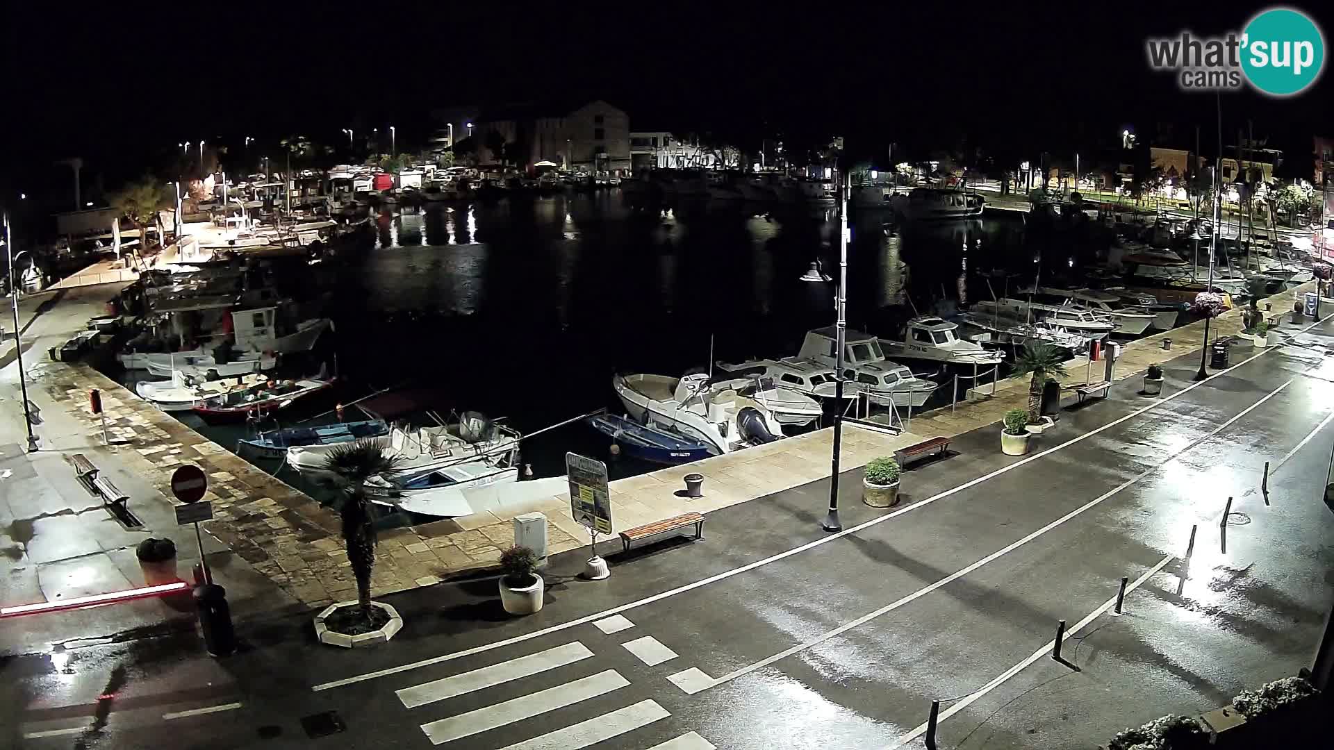 Novigrad webcam – old marina “Mandrač”