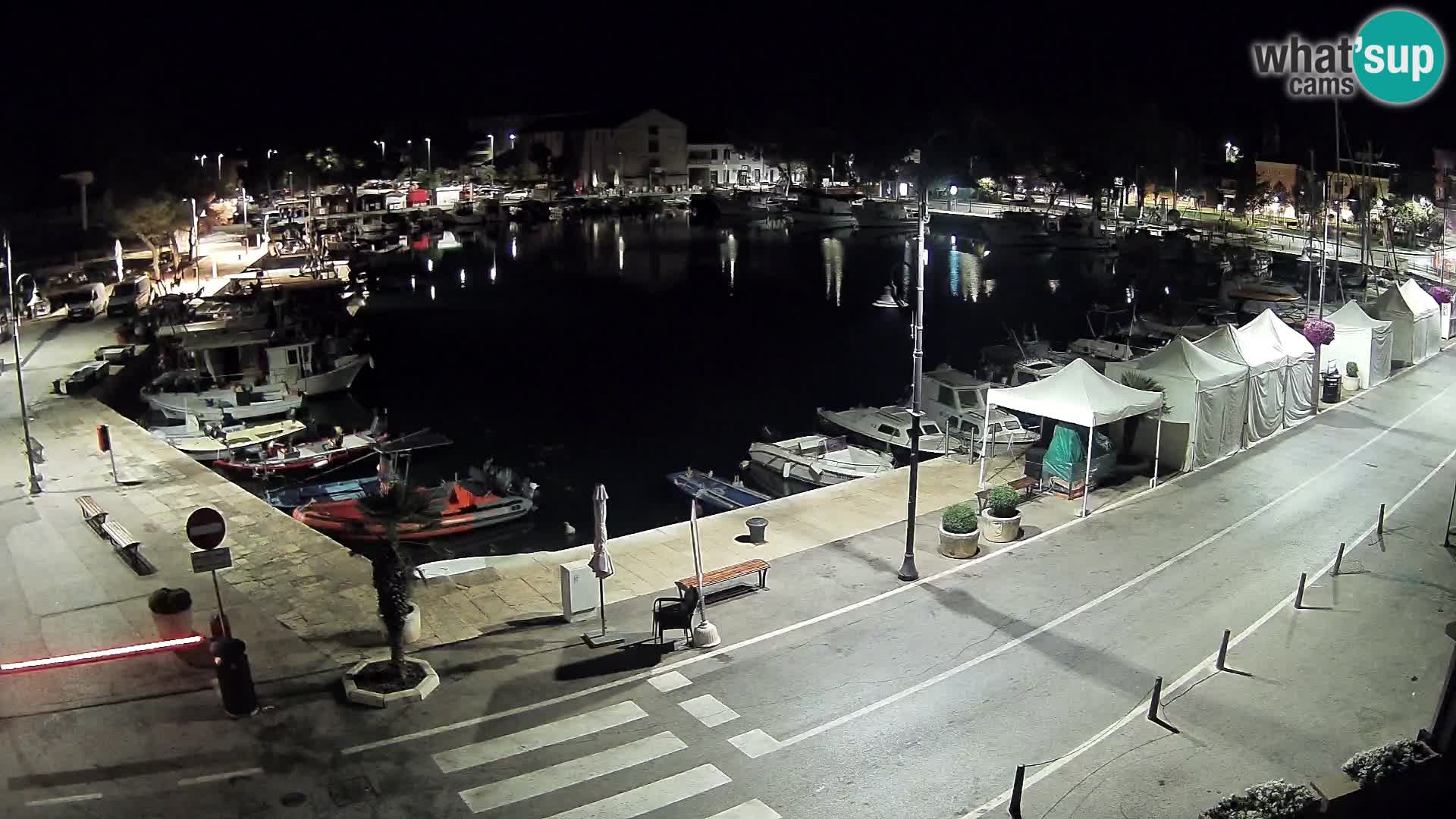 Novigrad – vieux port “Mandrač”