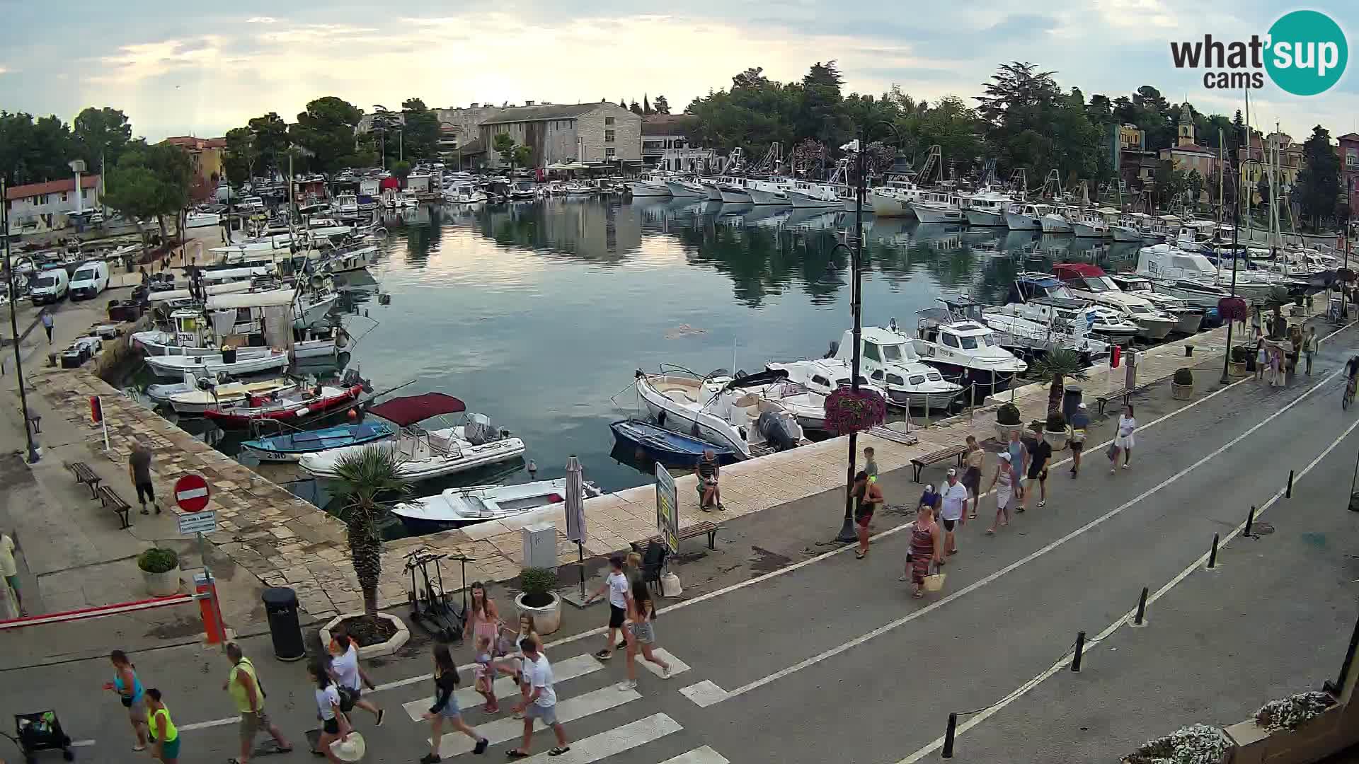 Novigrad webcam – old marina “Mandrač”