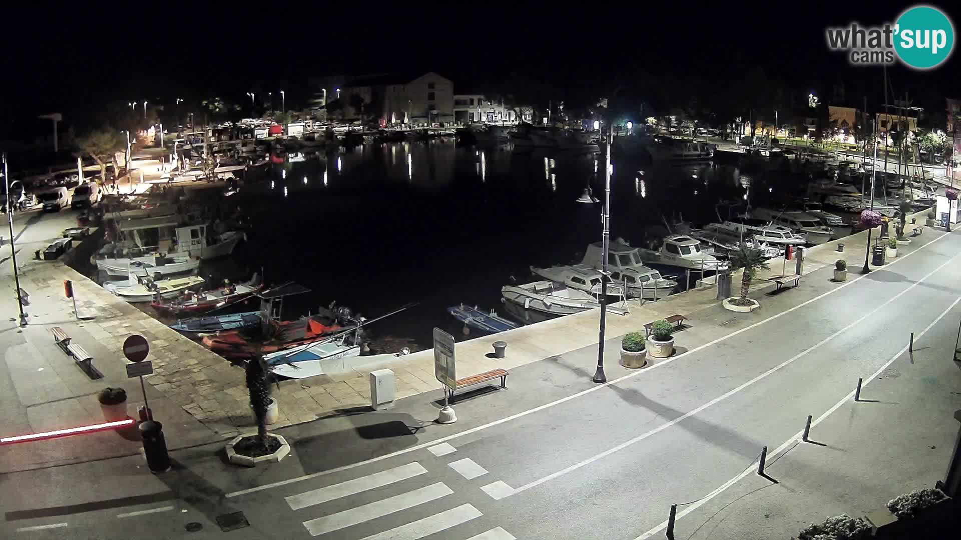 Novigrad webcam Mandrač | alten Hafen – Istrien