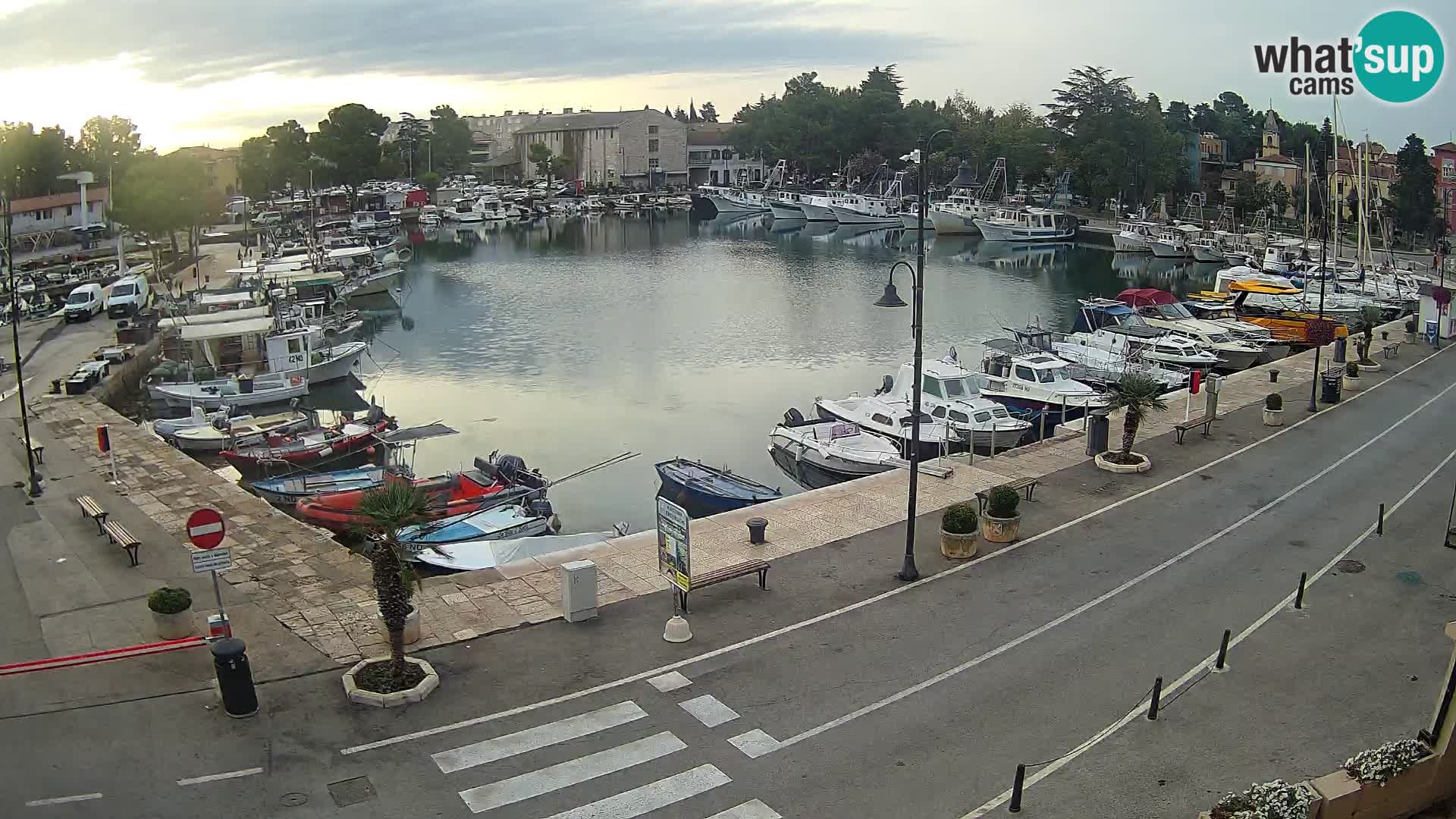 Novigrad webcam Mandrač | Cittanova in Istria – Porto vecchio