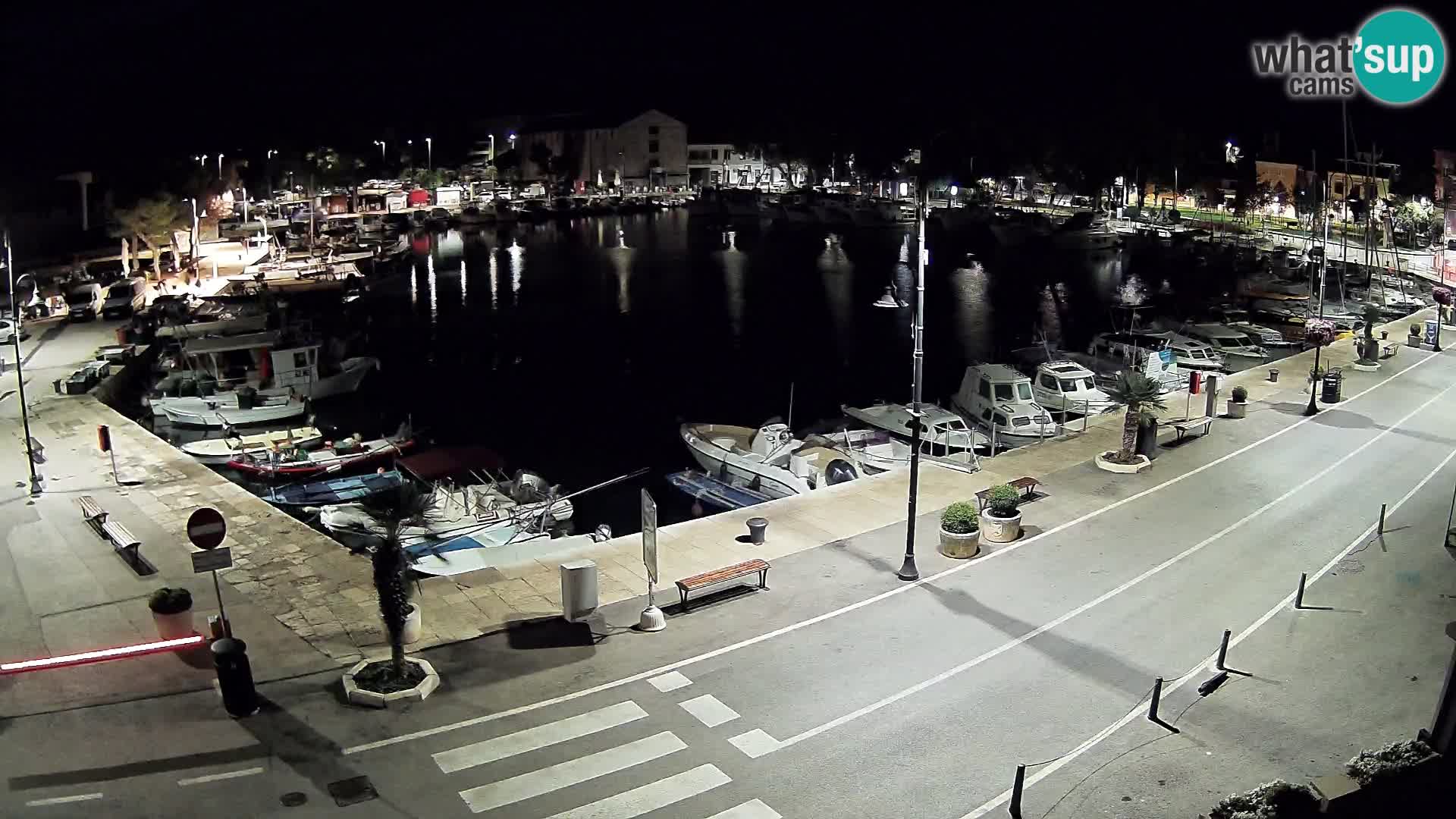 Novigrad webcam Mandrač | Cittanova in Istria – Porto vecchio