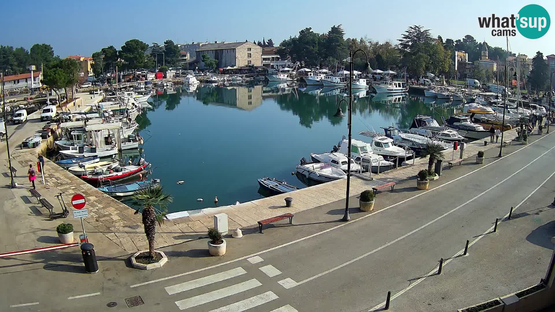 Novigrad webcam Mandrač | old marina – Istria