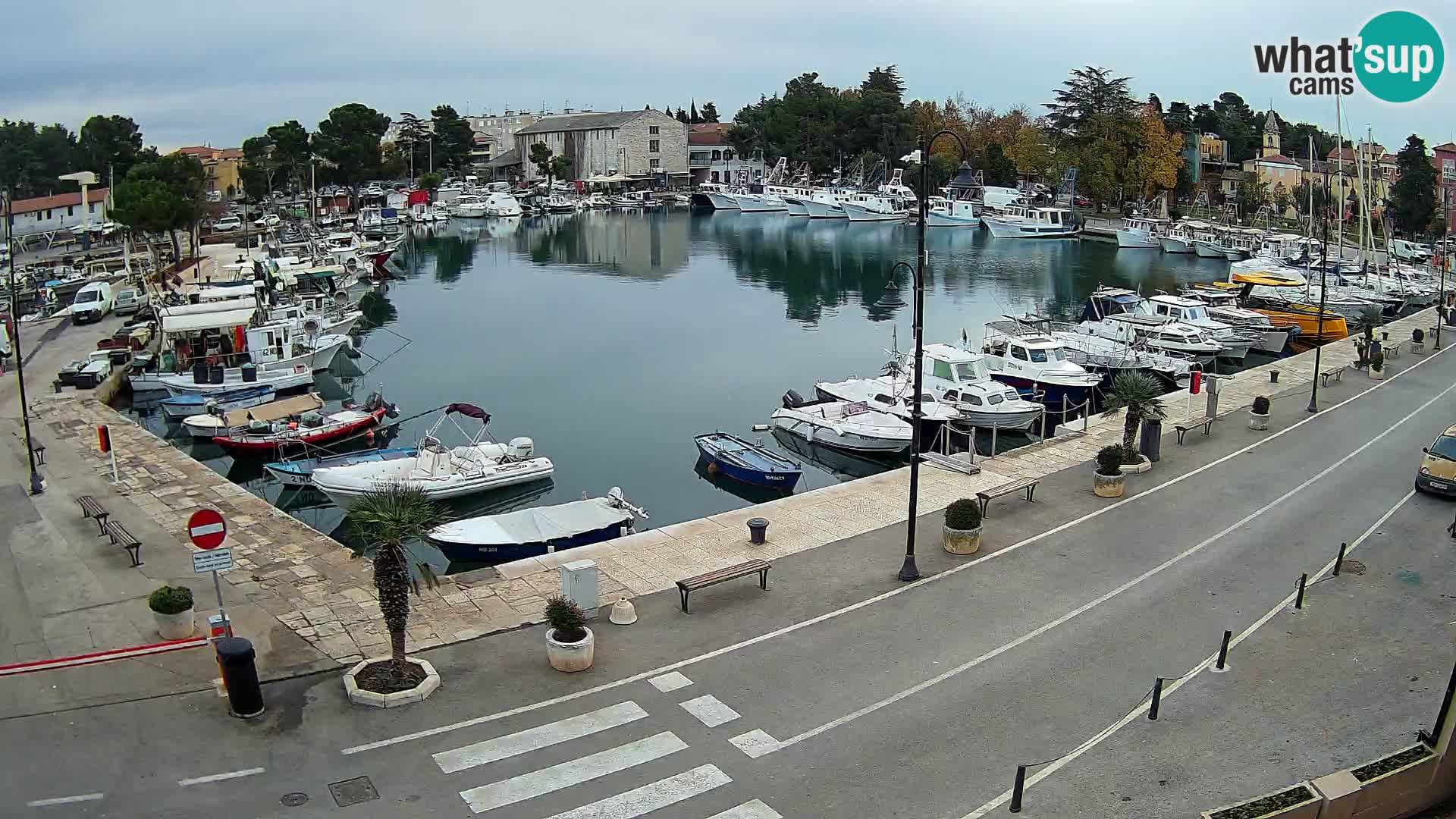 Novigrad webcam Mandrač | Cittanova in Istria – Porto vecchio