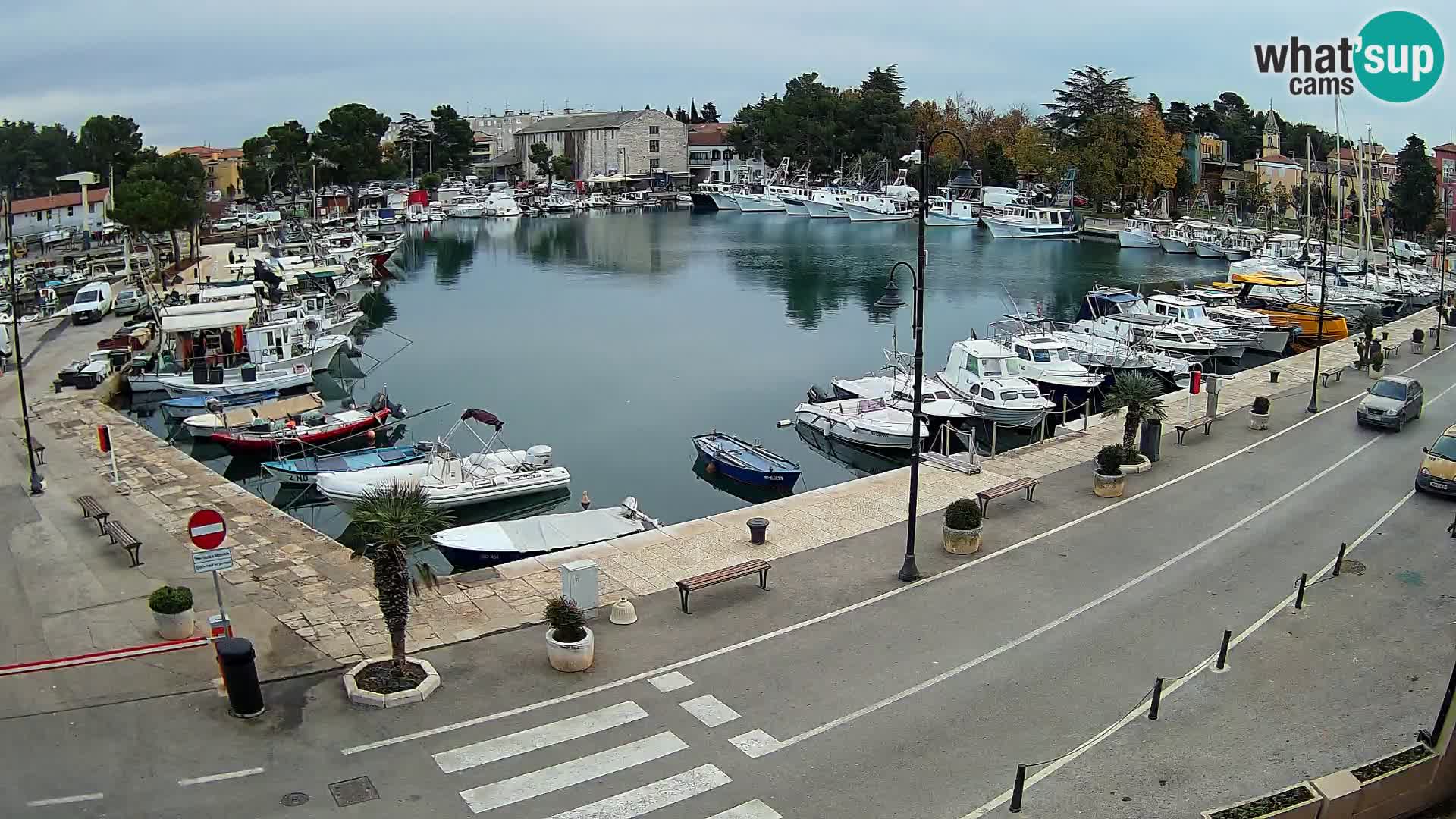 Novigrad webcam Mandrač | Cittanova in Istria – Porto vecchio