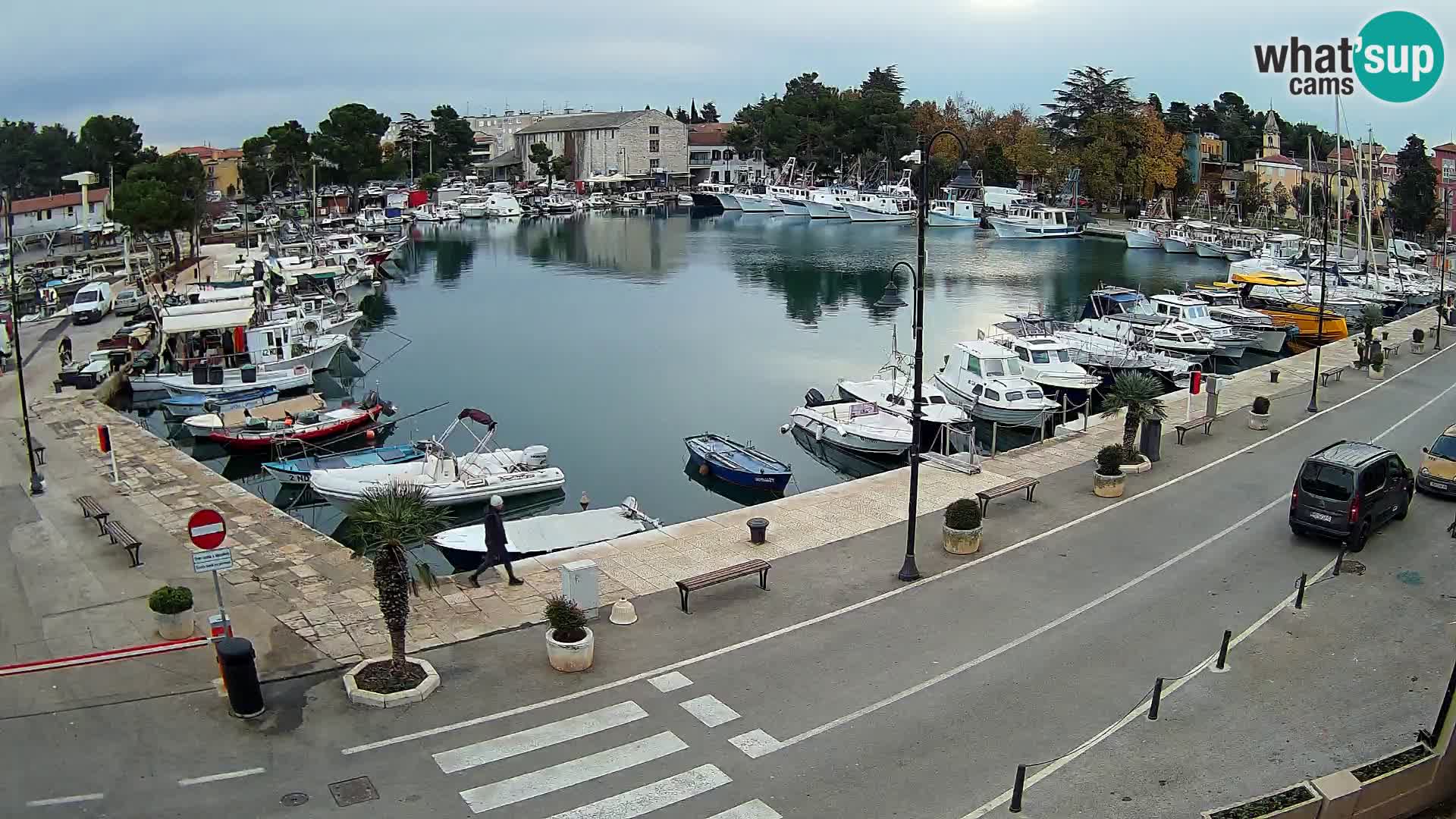 Novigrad webcam Mandrač | Cittanova in Istria – Porto vecchio