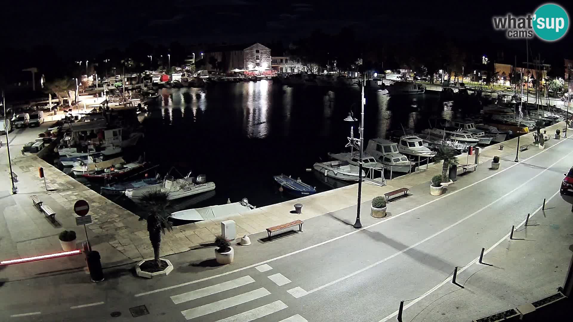 Novigrad webcam Mandrač | alten Hafen – Istrien