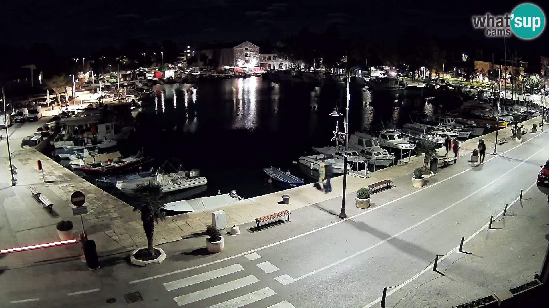 Novigrad webcam Mandrač | Cittanova in Istria – Porto vecchio