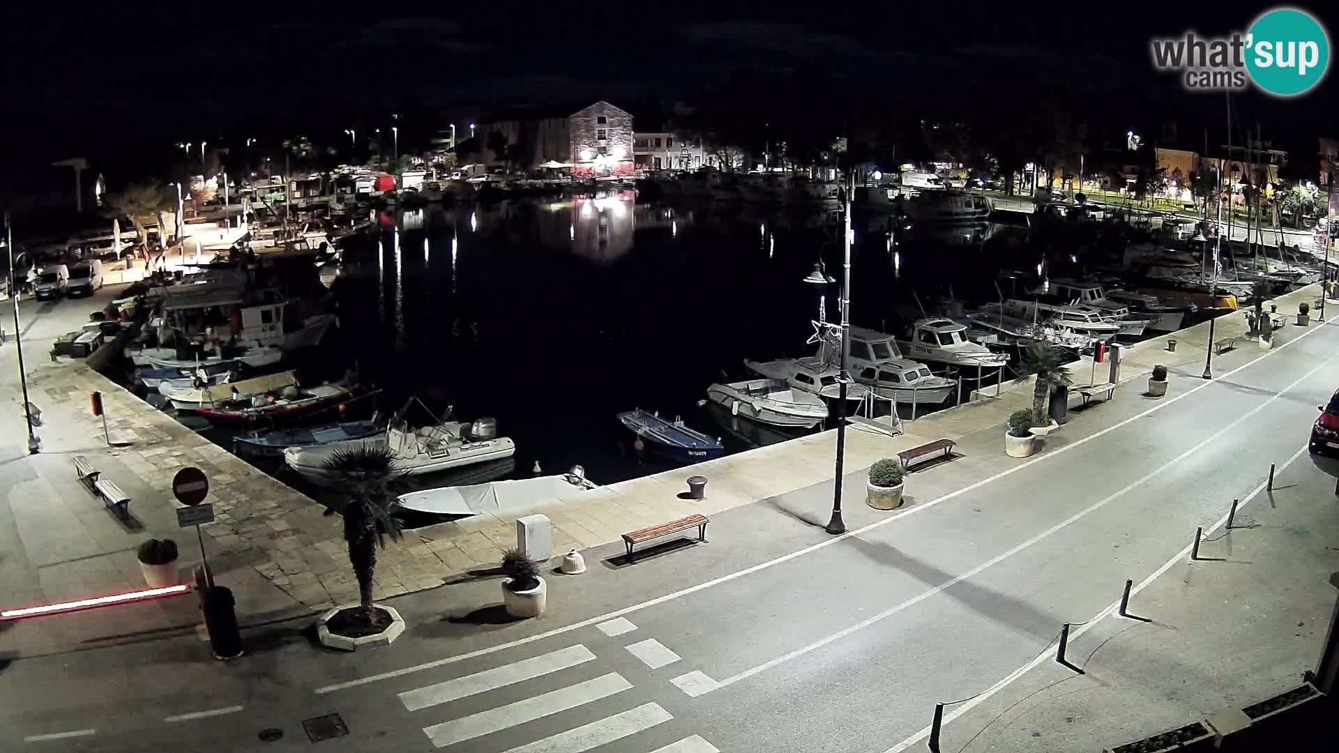 Novigrad webcam Mandrač | Cittanova in Istria – Porto vecchio