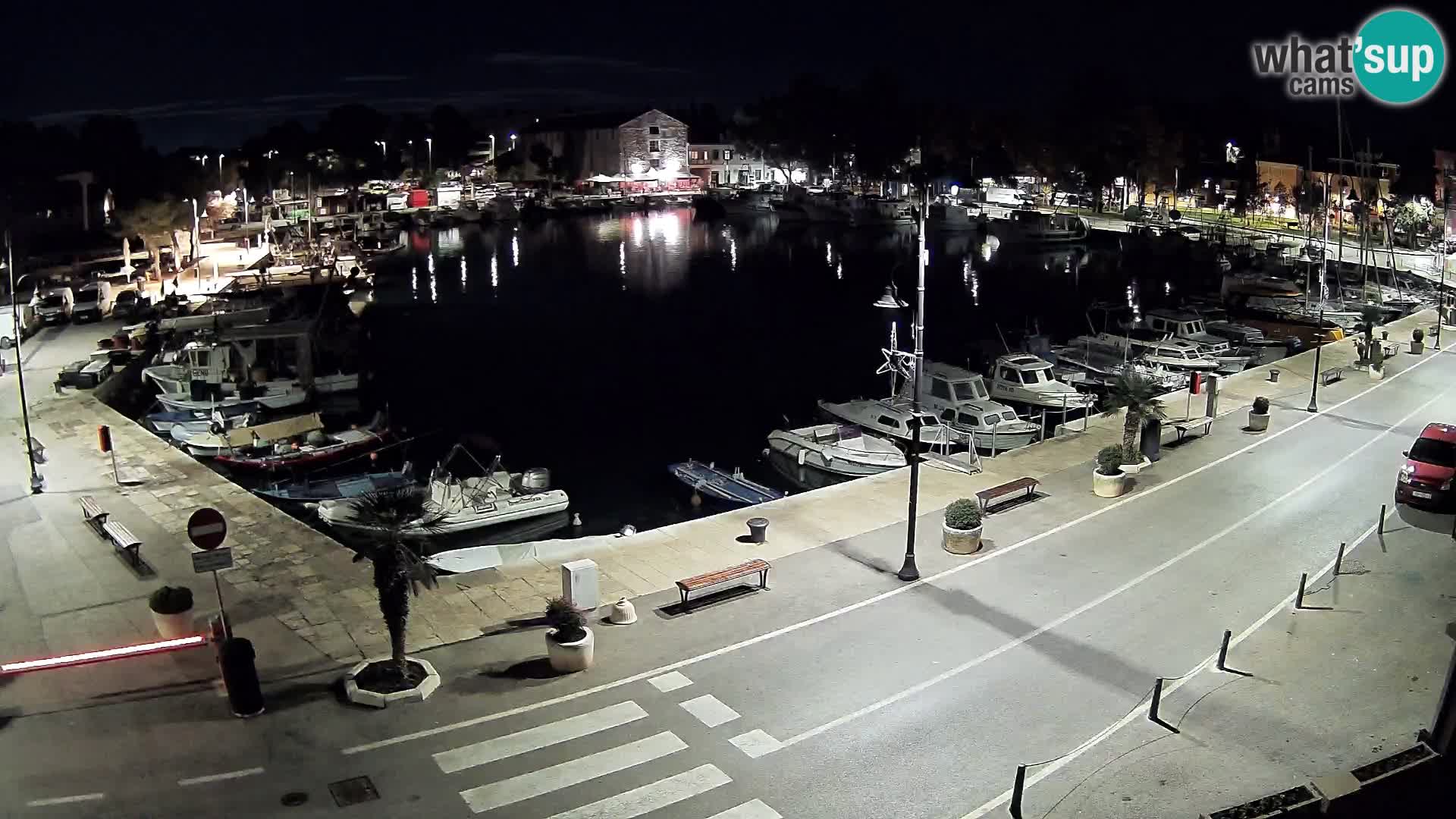 Novigrad webcam Mandrač | alten Hafen – Istrien