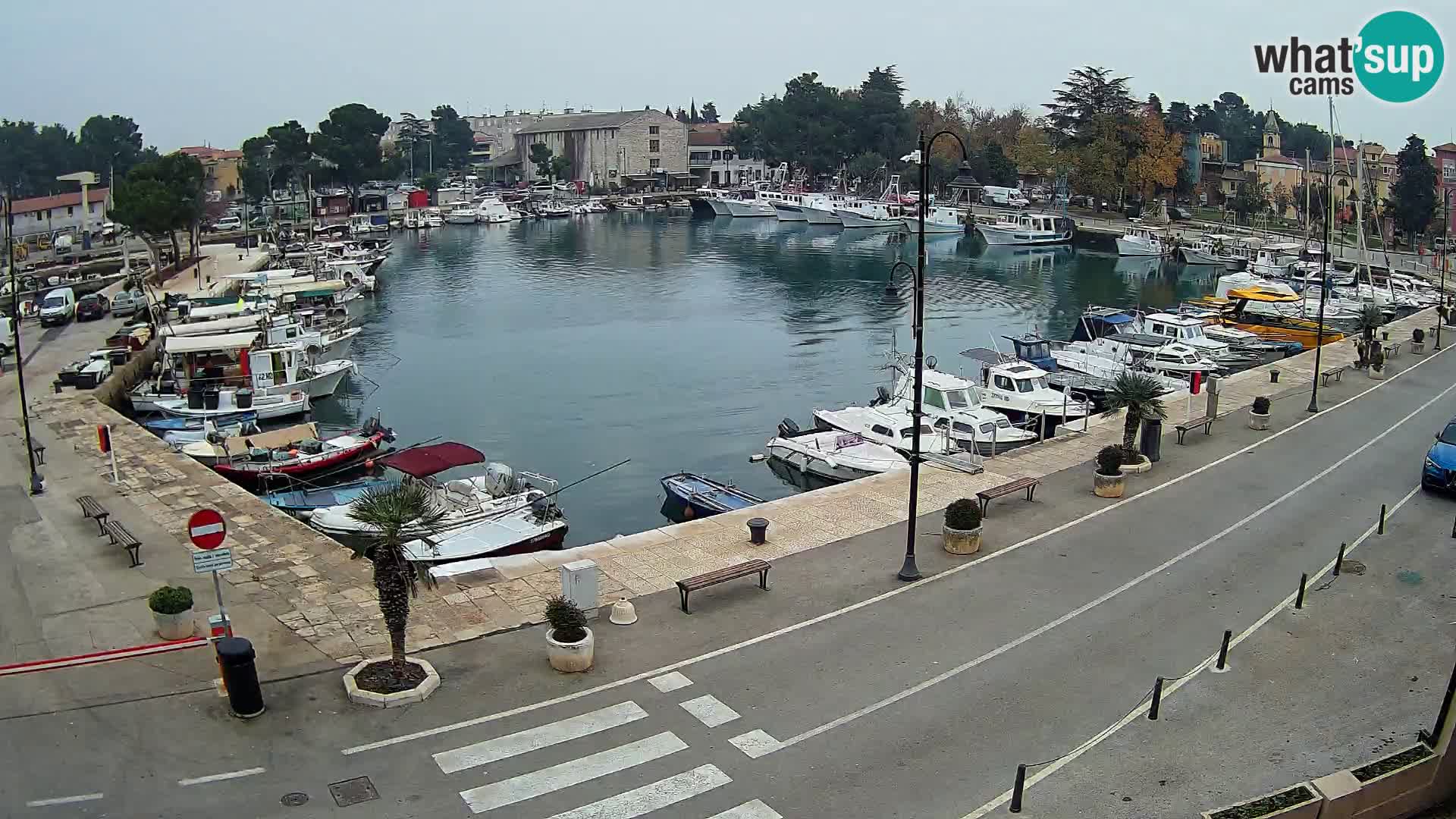 Novigrad webcam Mandrač | old marina – Istria