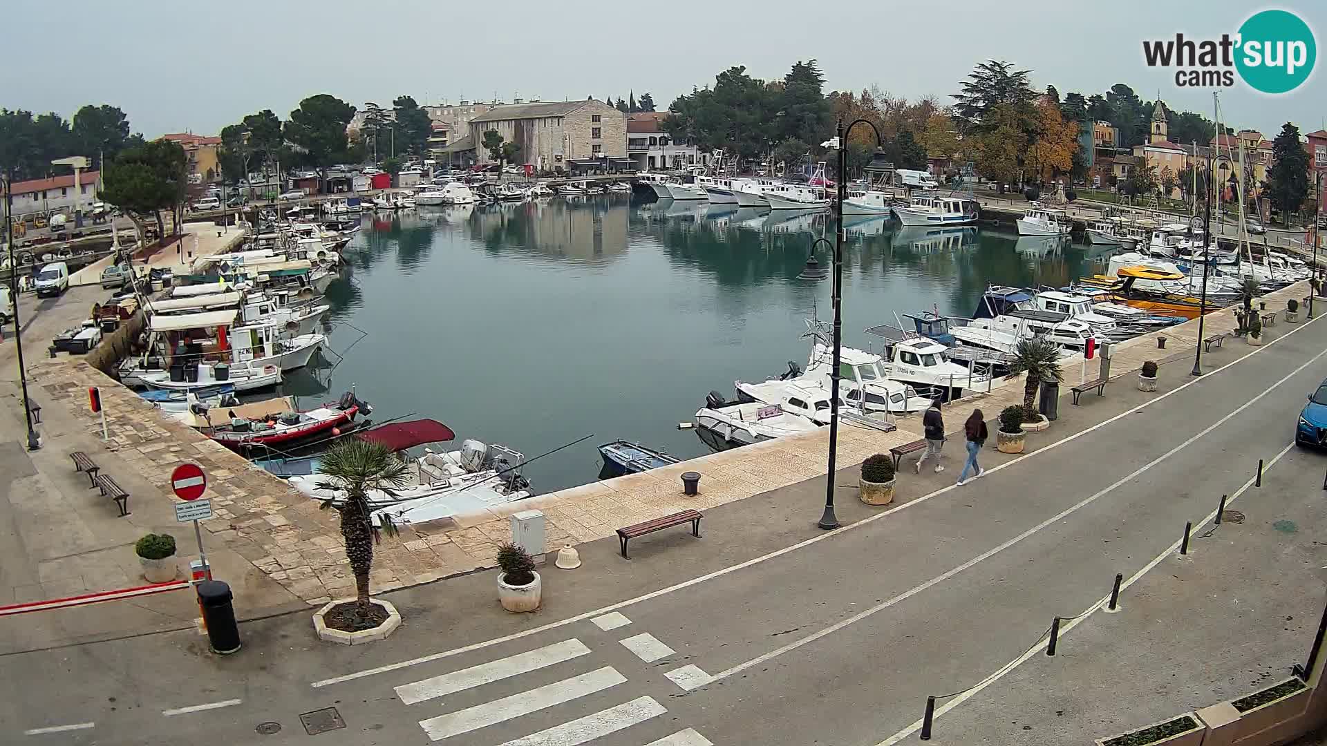 Novigrad kamera Mandrač – Istra