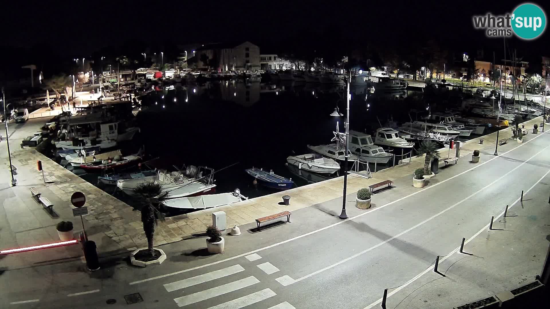 Novigrad webcam Mandrač | Cittanova in Istria – Porto vecchio