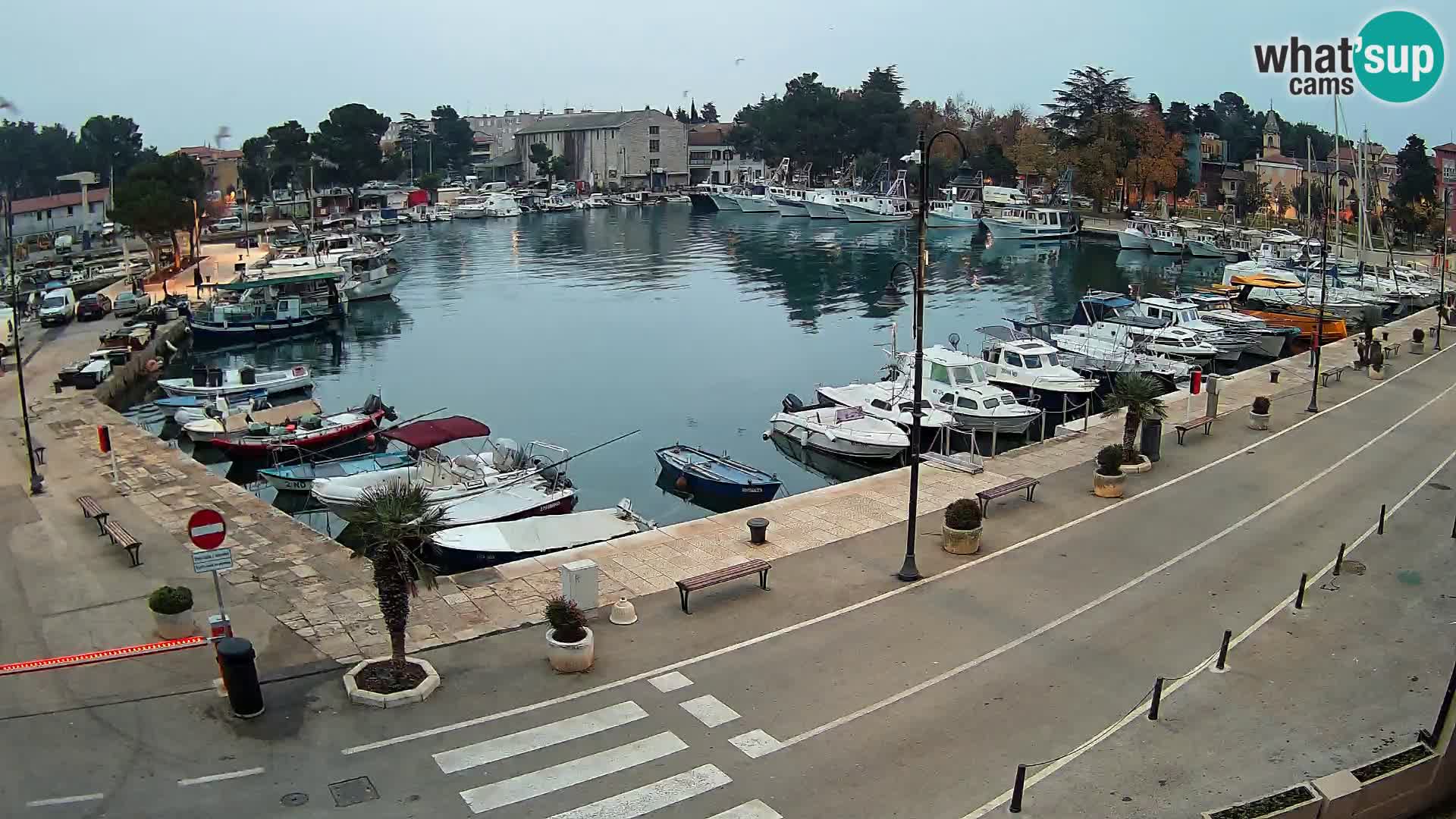 Novigrad –  Mandrač