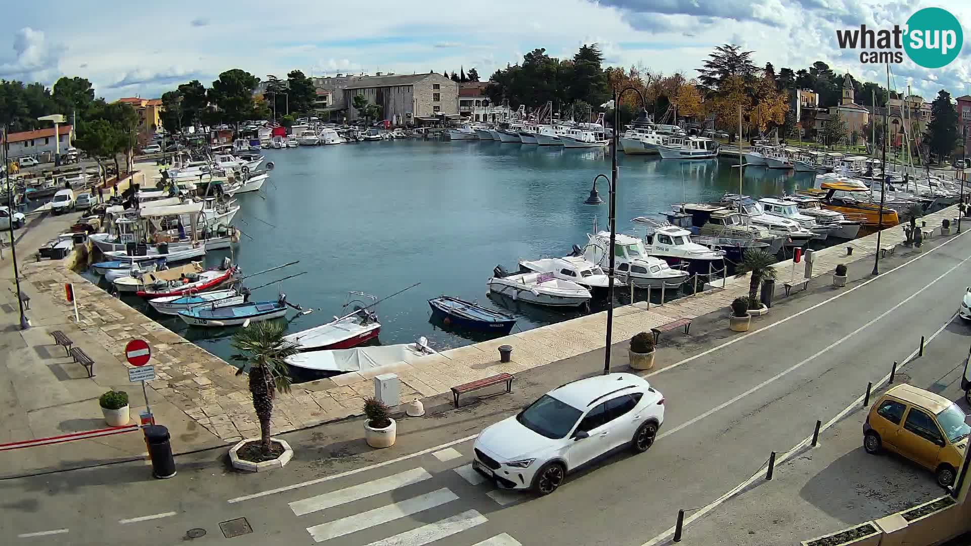 Novigrad webcam Mandrač | Cittanova in Istria – Porto vecchio