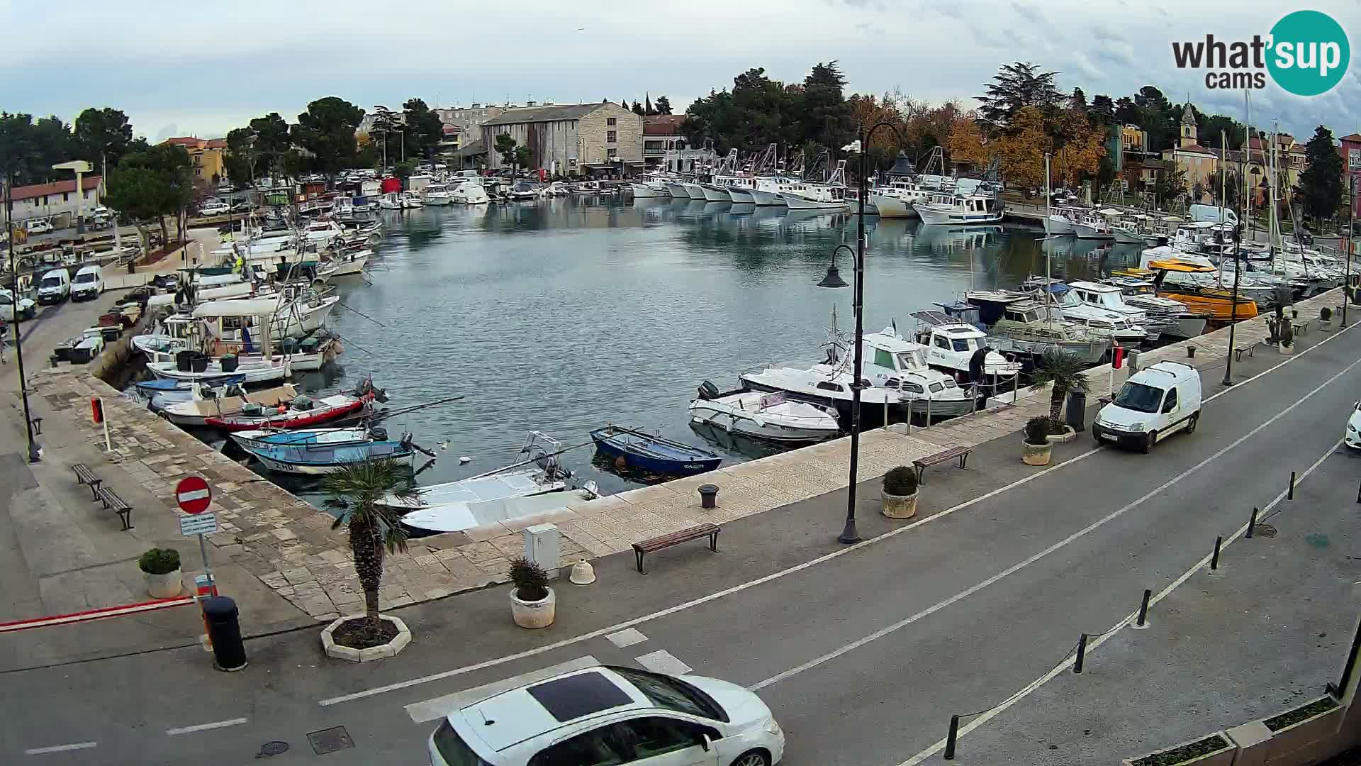 Novigrad webcam Mandrač | alten Hafen – Istrien