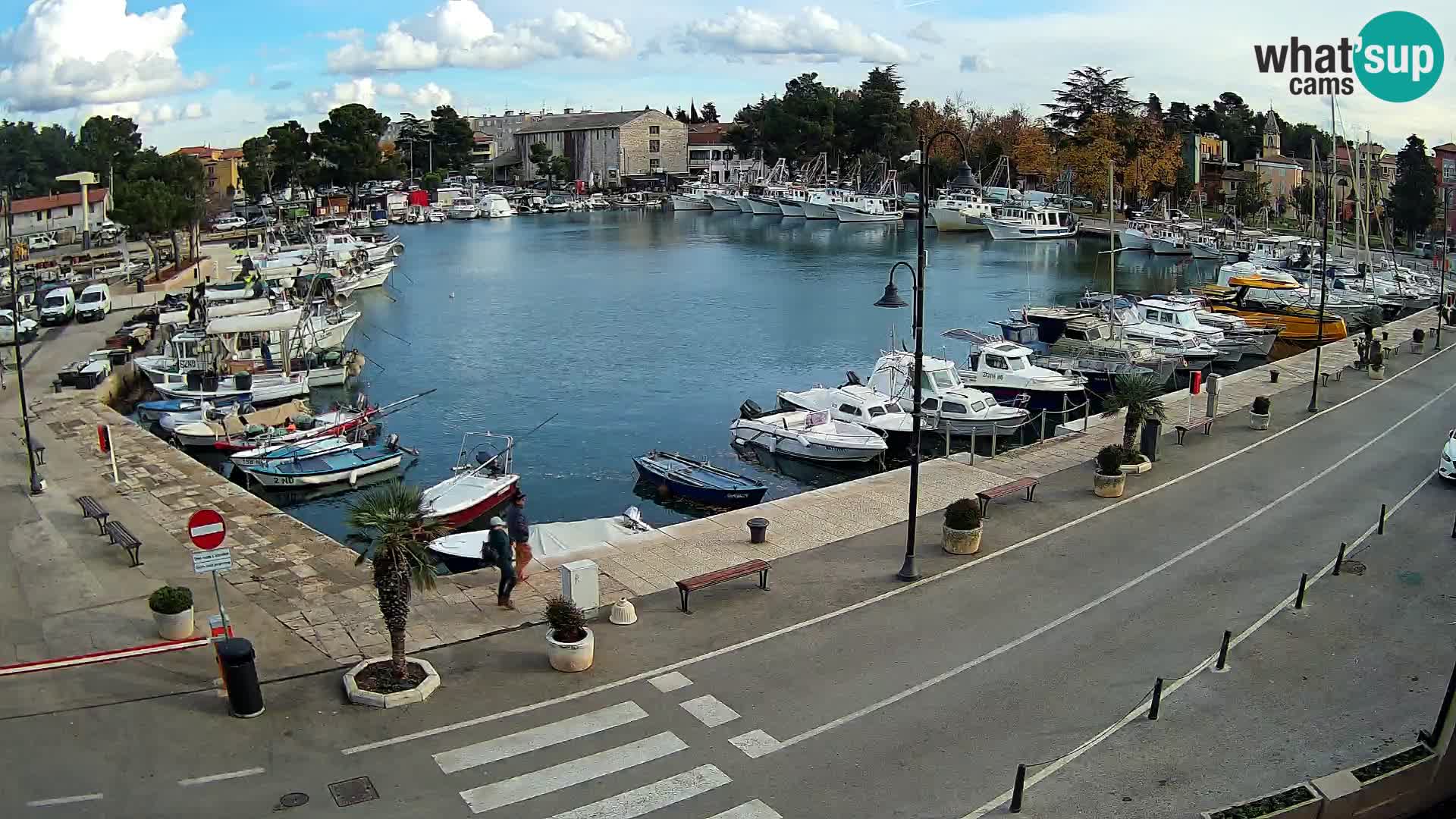 Novigrad webcam Mandrač | alten Hafen – Istrien