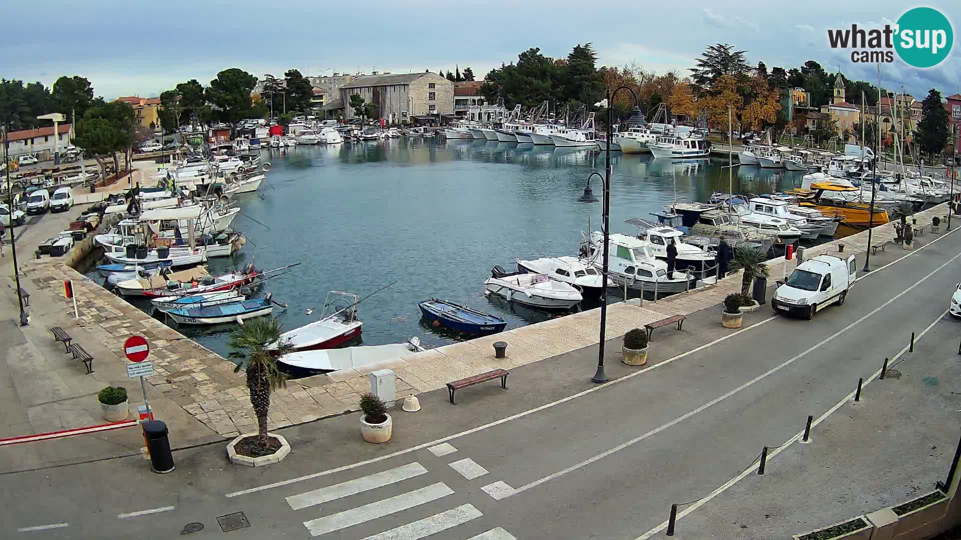 Novigrad webcam Mandrač | alten Hafen – Istrien