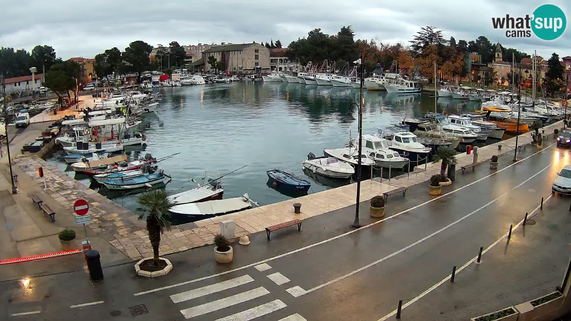 Novigrad webcam Mandrač | Cittanova in Istria – Porto vecchio