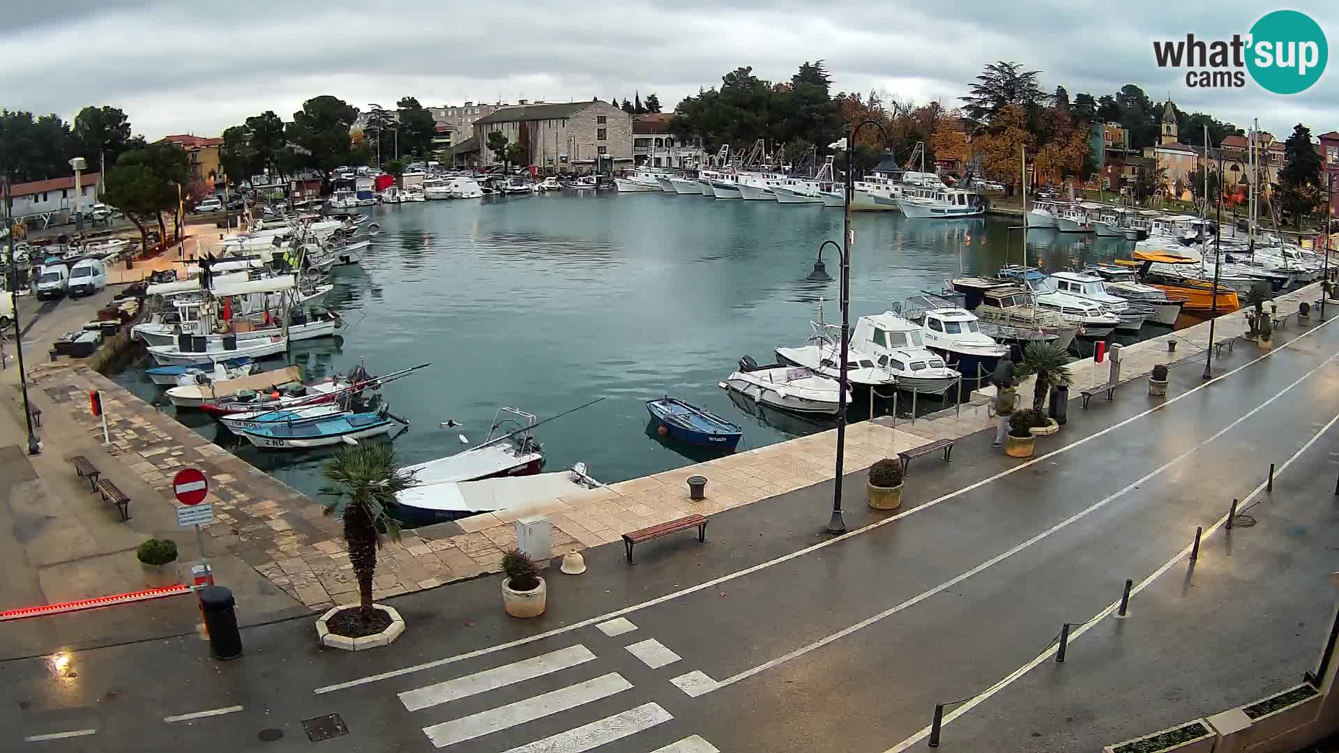 Novigrad webcam Mandrač | Cittanova in Istria – Porto vecchio