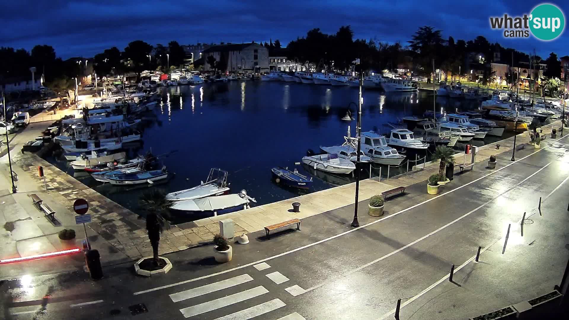 Novigrad webcam Mandrač | Cittanova in Istria – Porto vecchio