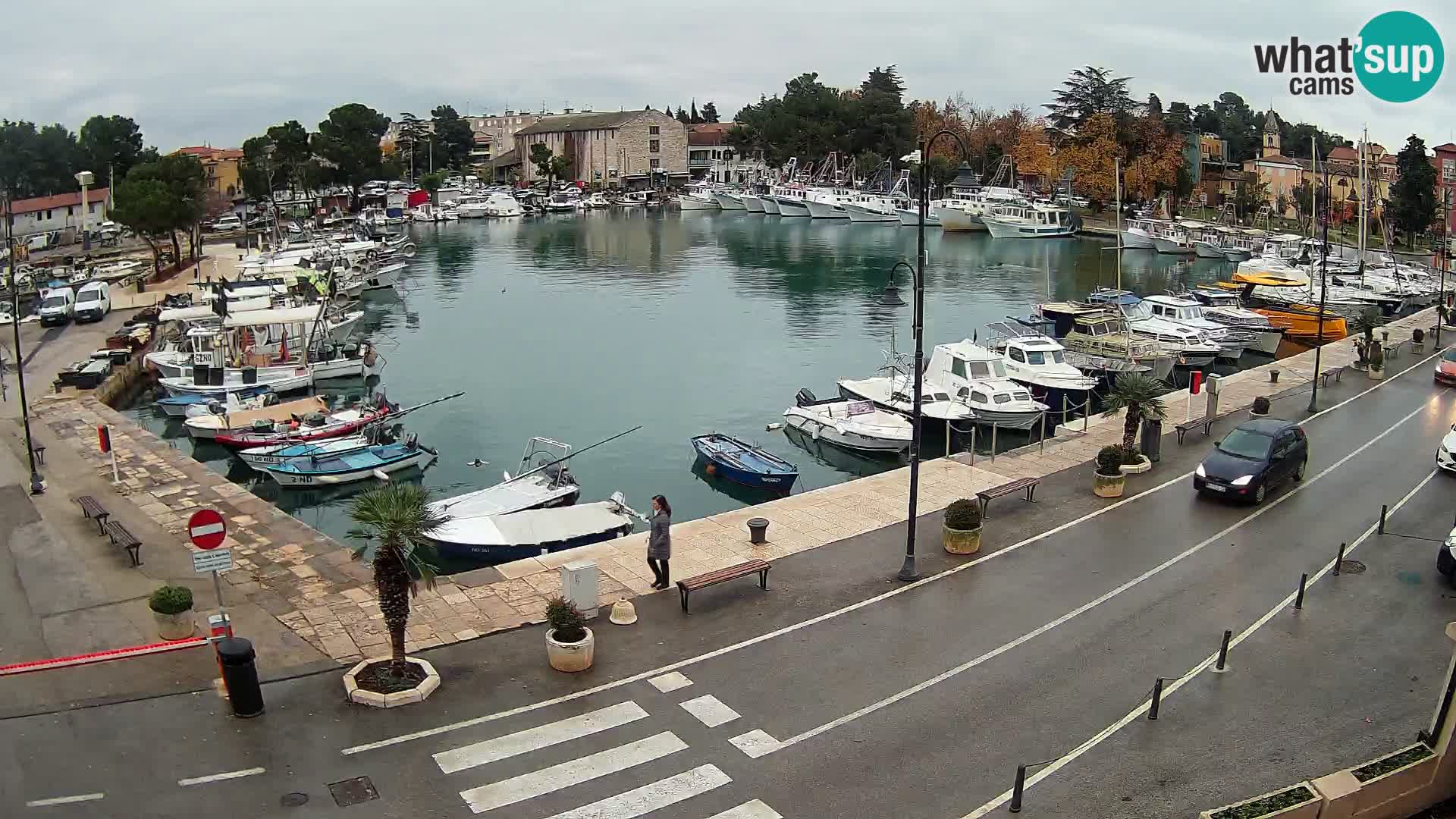 Novigrad webcam Mandrač | alten Hafen – Istrien