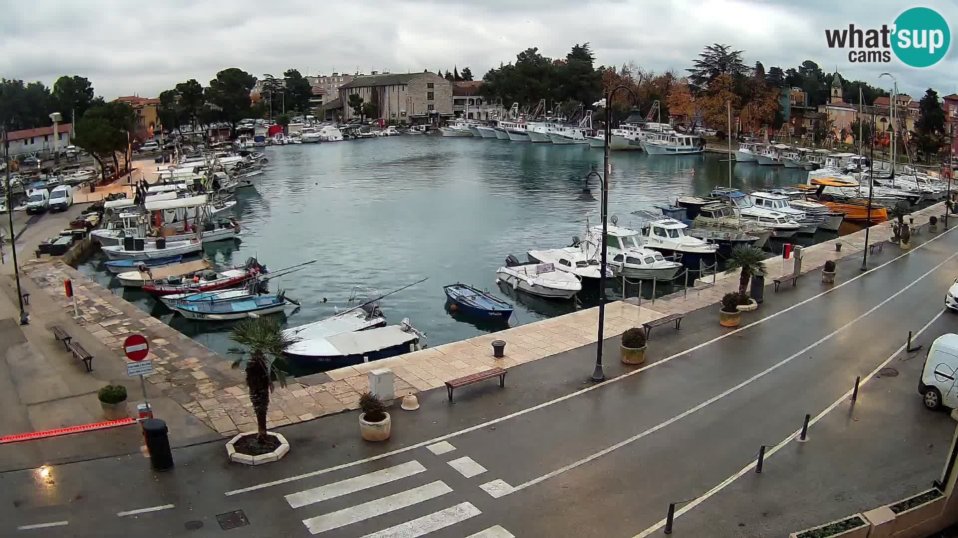 Novigrad webcam Mandrač | alten Hafen – Istrien