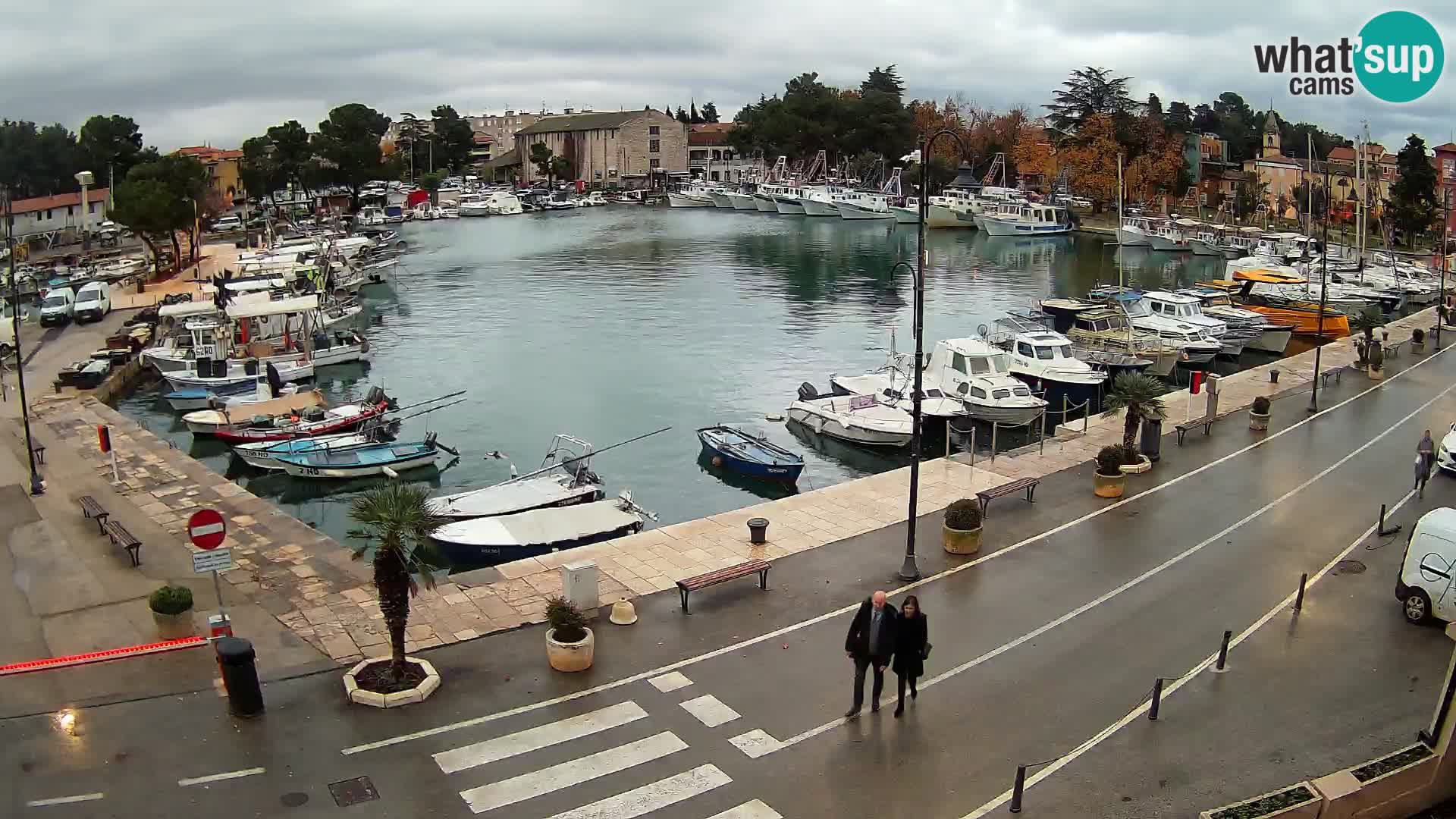 Novigrad webcam Mandrač | Cittanova in Istria – Porto vecchio