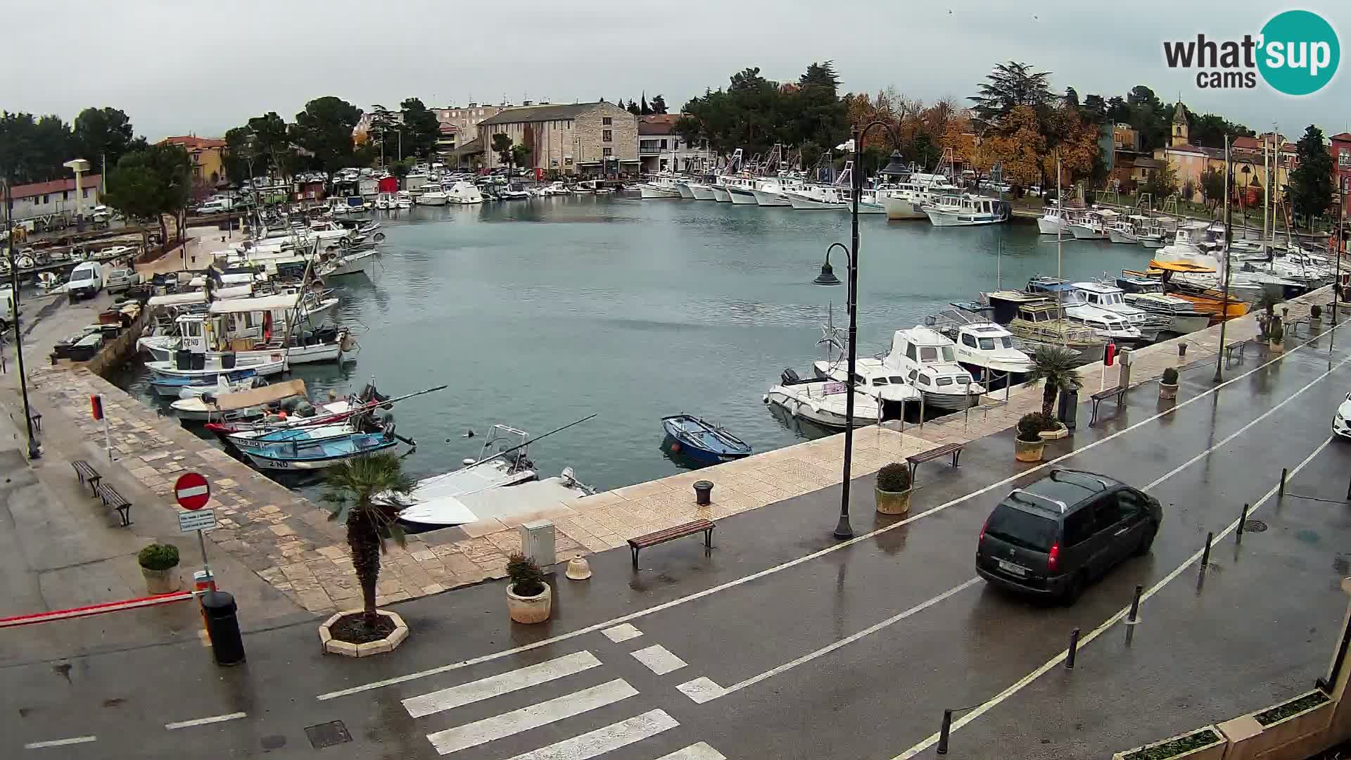 Novigrad –  Mandrač