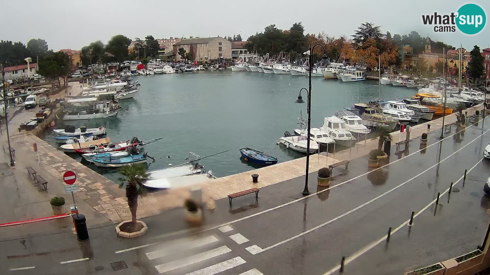 Novigrad webcam Mandrač | alten Hafen – Istrien