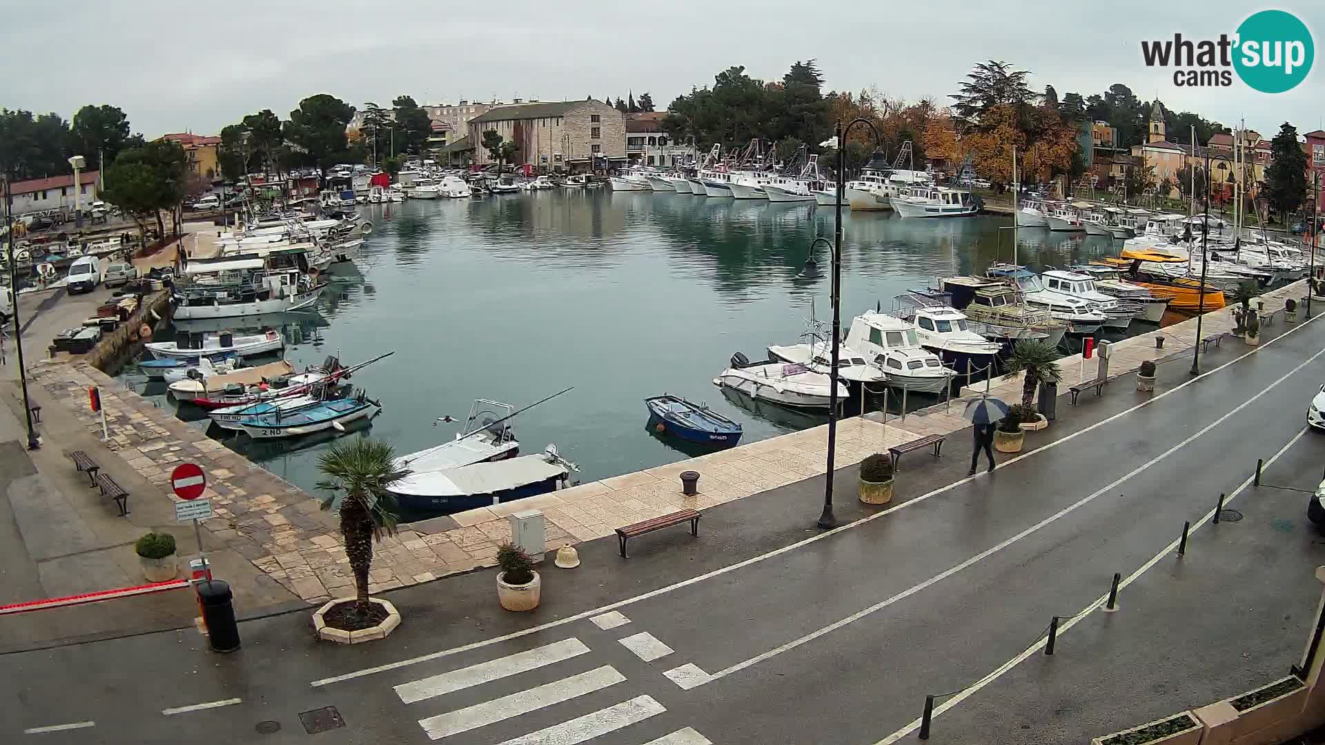 Novigrad webcam Mandrač | alten Hafen – Istrien