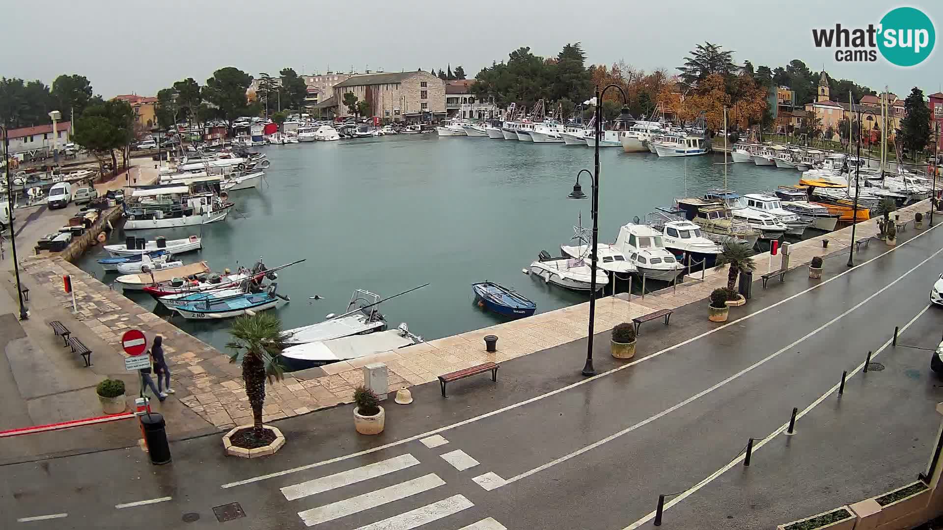 Novigrad webcam Mandrač | alten Hafen – Istrien