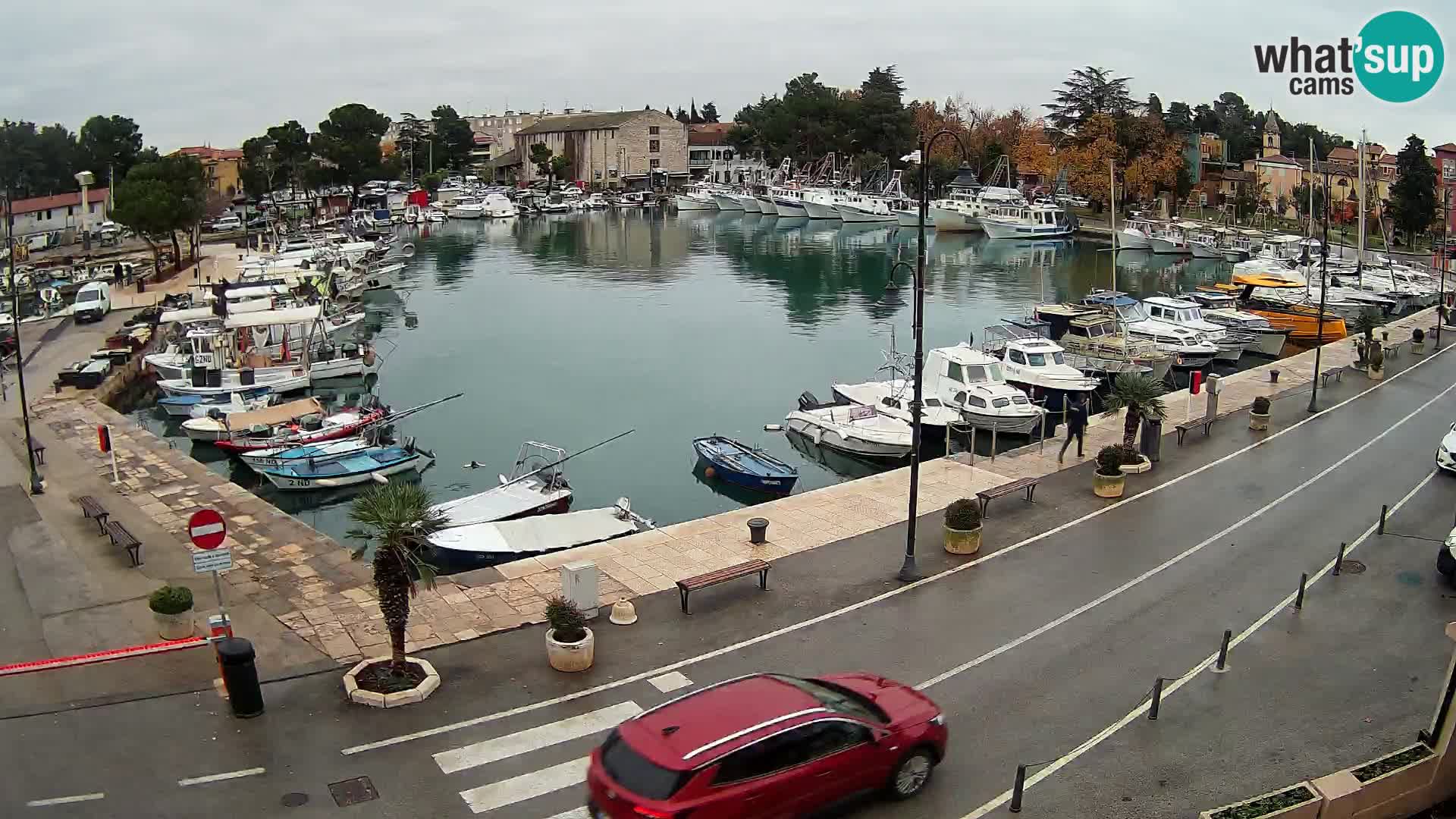 Novigrad webcam Mandrač | Cittanova in Istria – Porto vecchio