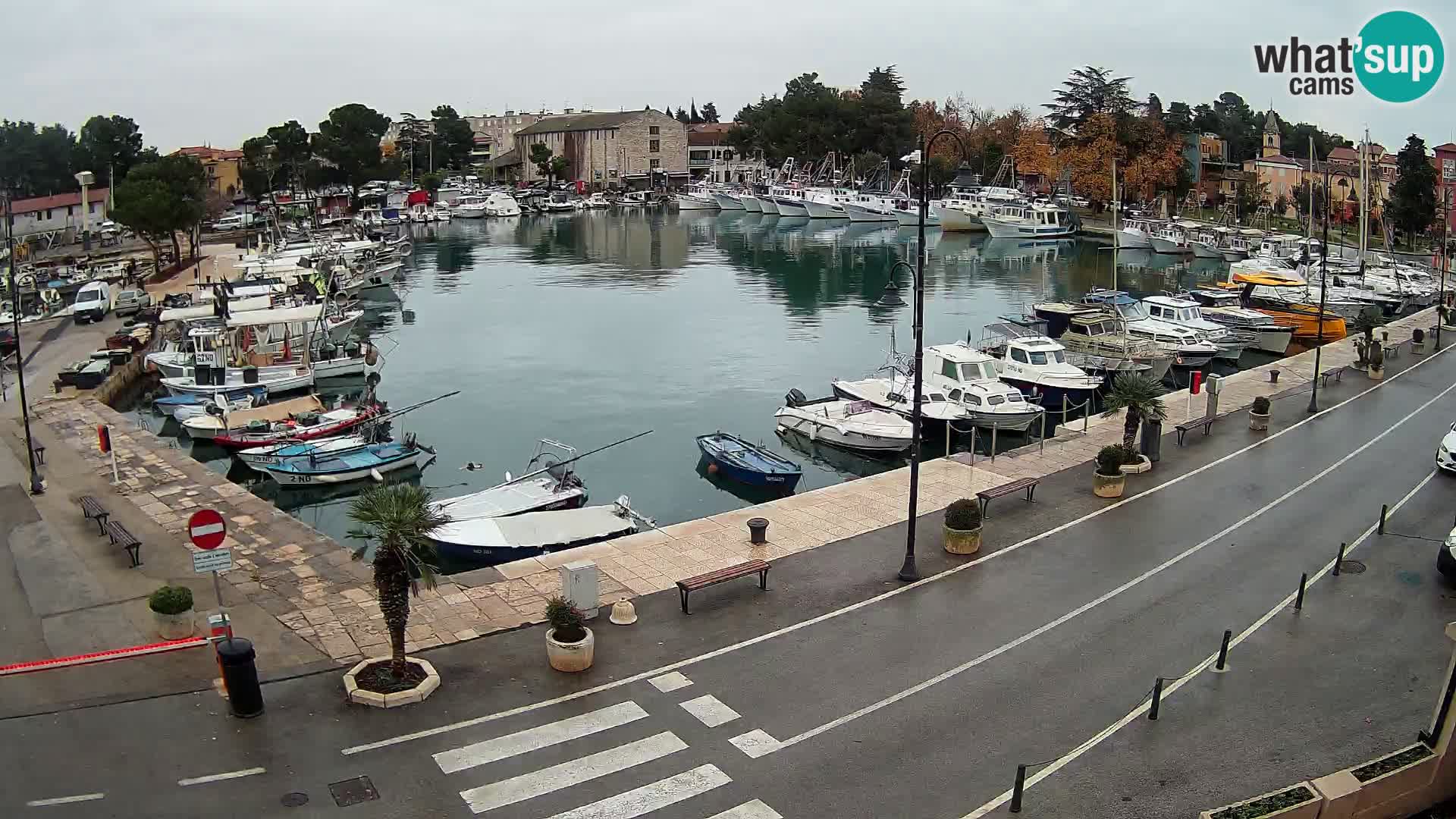 Novigrad –  Mandrač