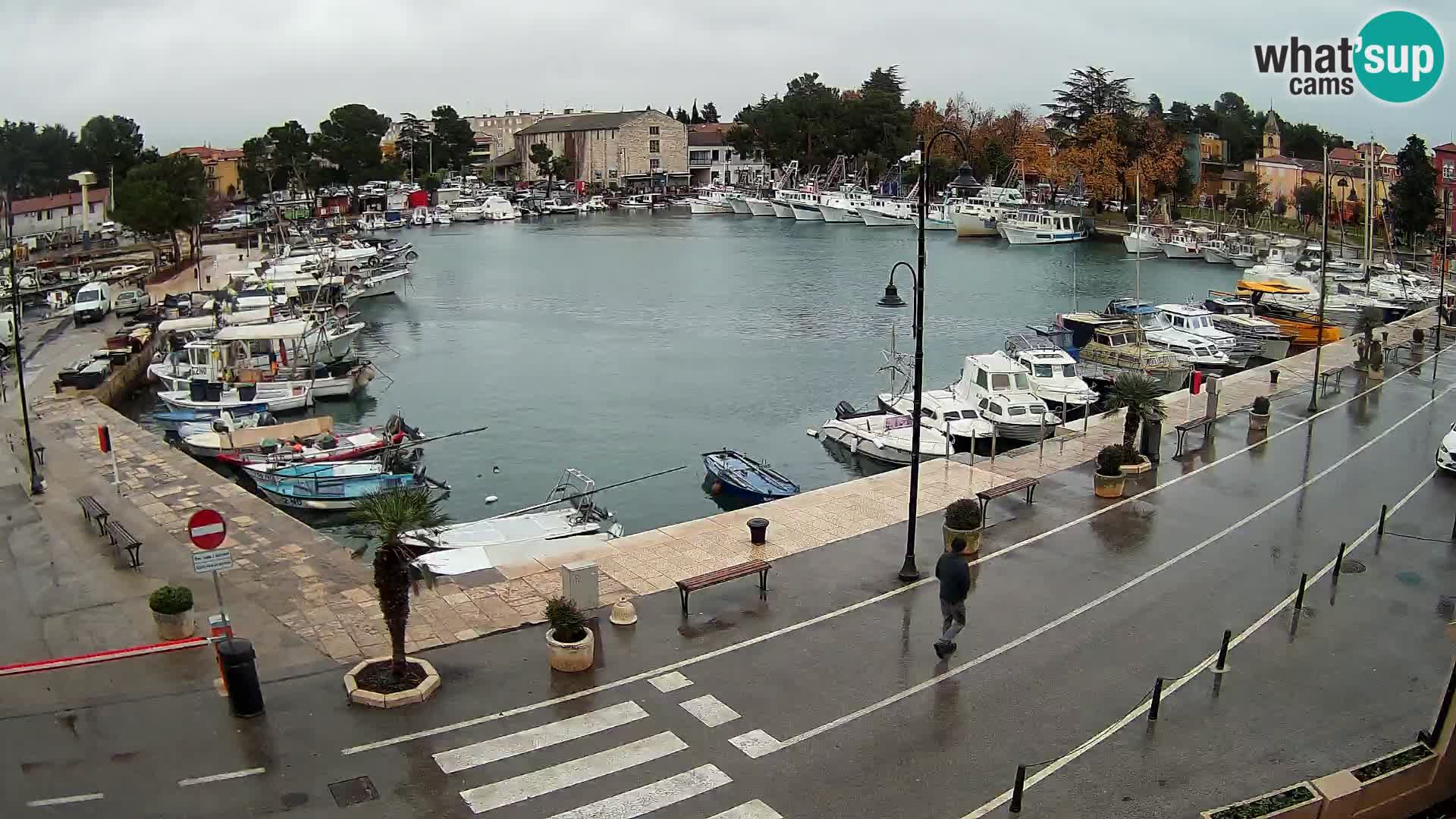 Novigrad webcam Mandrač | Cittanova in Istria – Porto vecchio