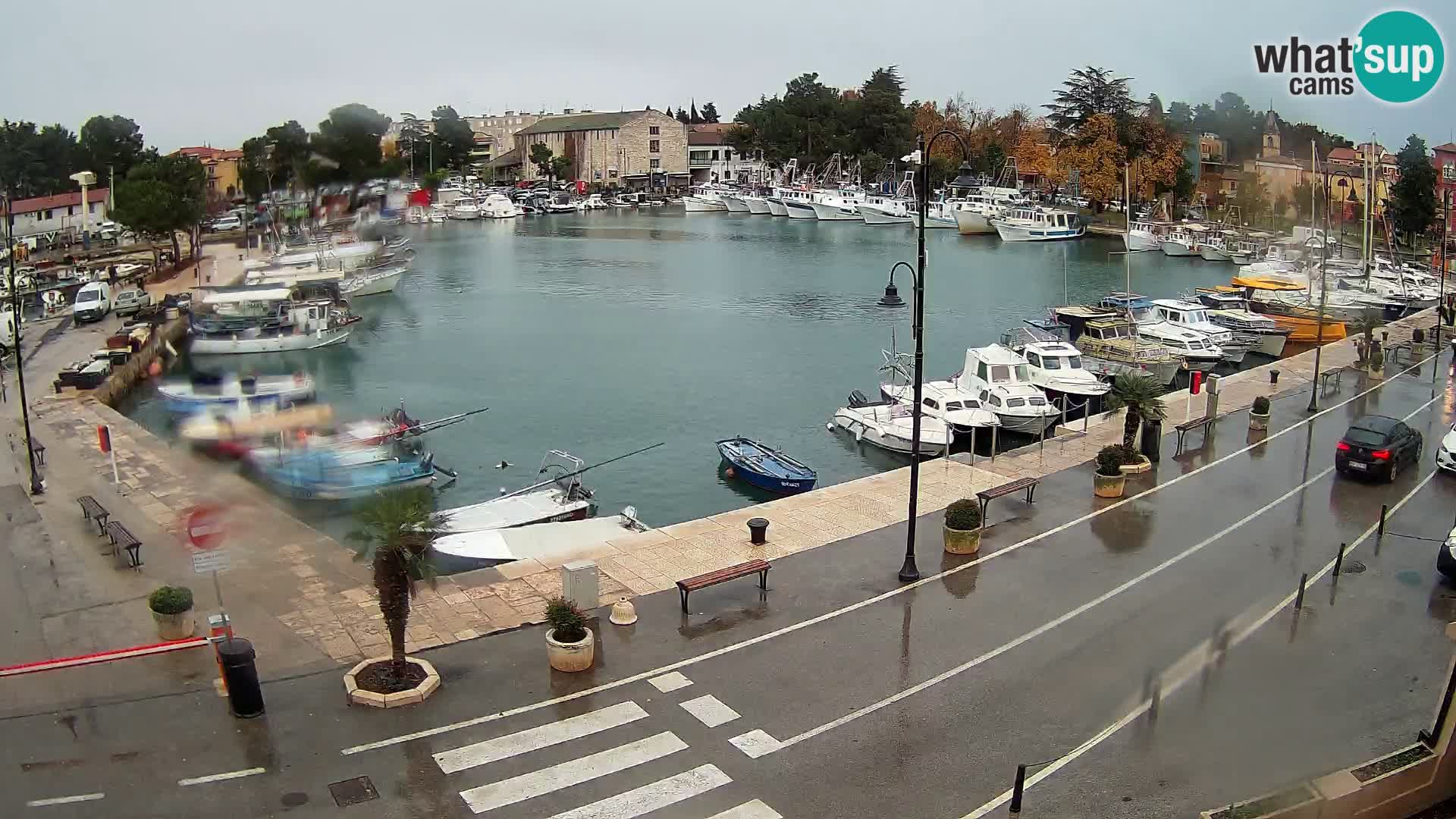 Novigrad webcam Mandrač | Cittanova in Istria – Porto vecchio