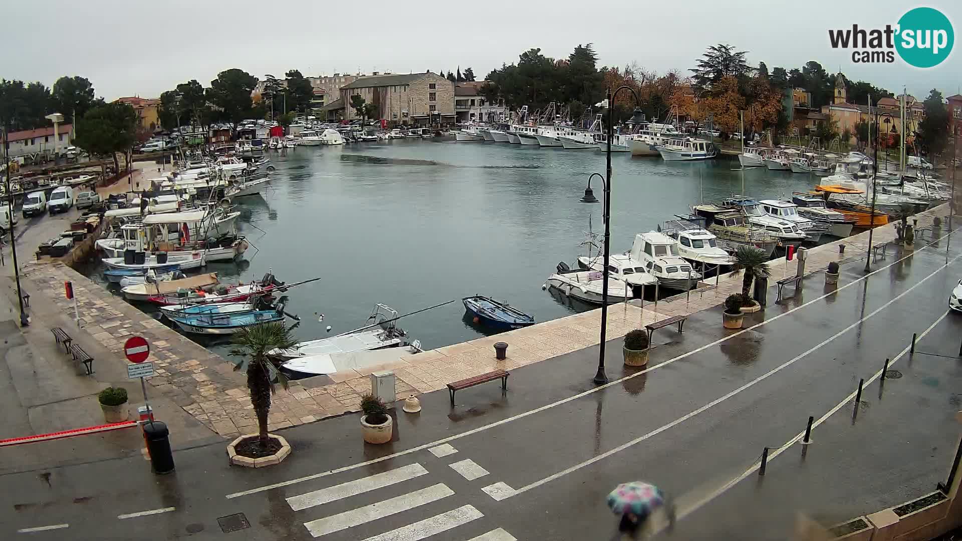 Novigrad webcam Mandrač | alten Hafen – Istrien