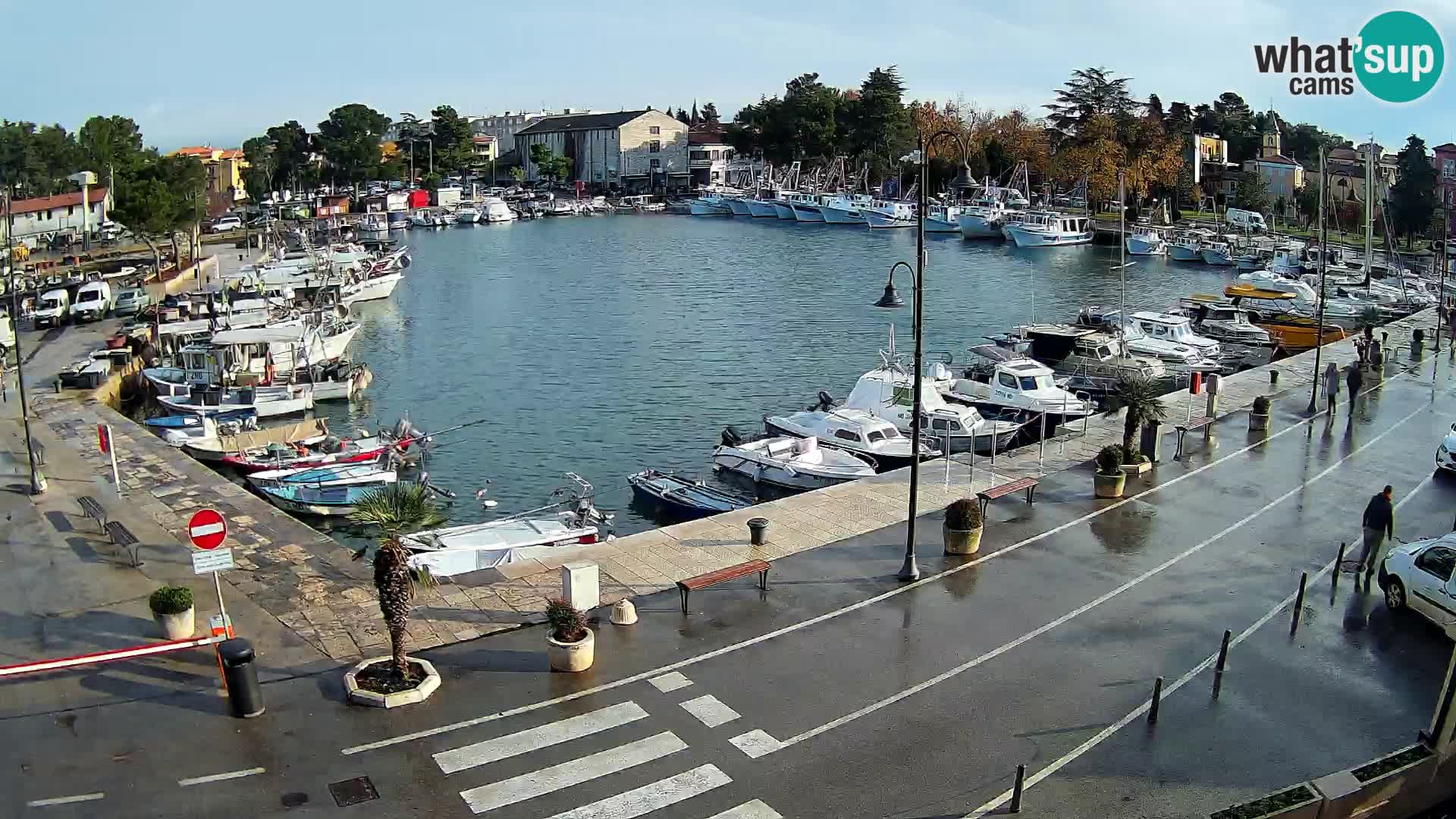 Novigrad webcam Mandrač | Cittanova in Istria – Porto vecchio