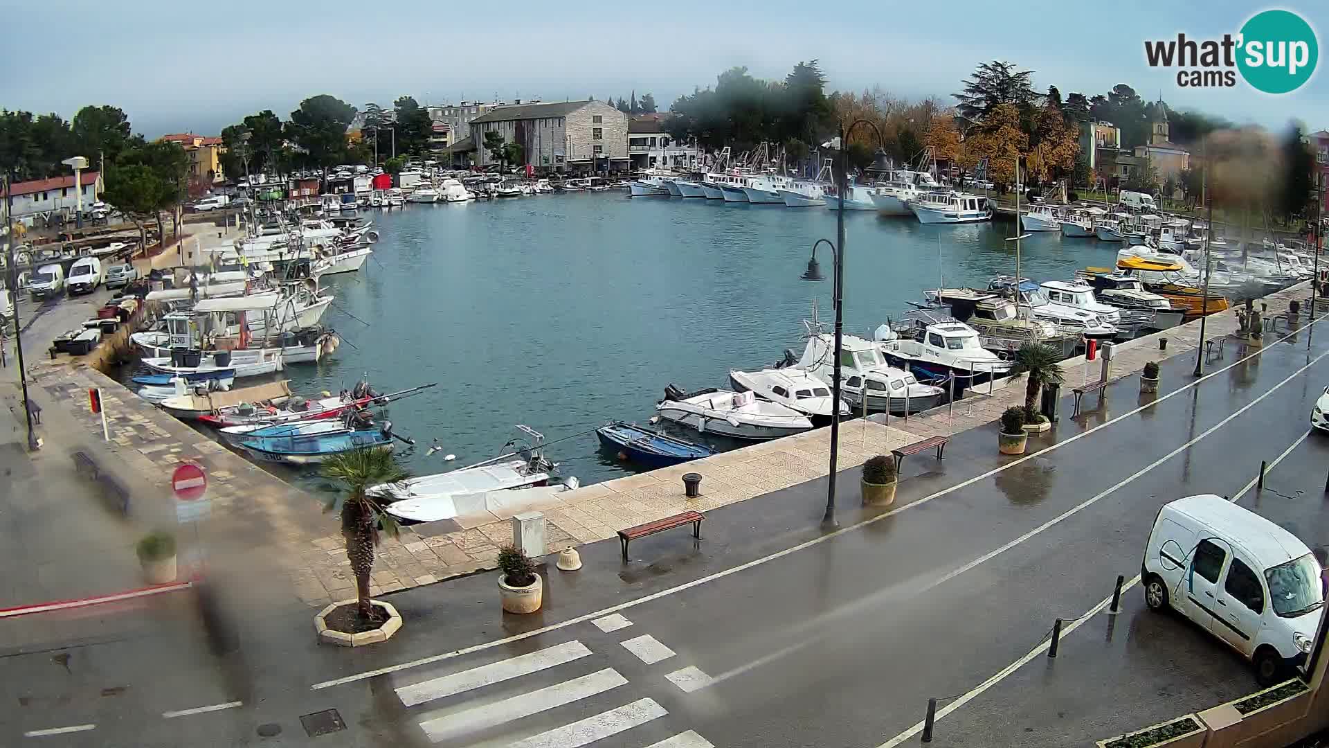 Novigrad webcam Mandrač | Cittanova in Istria – Porto vecchio