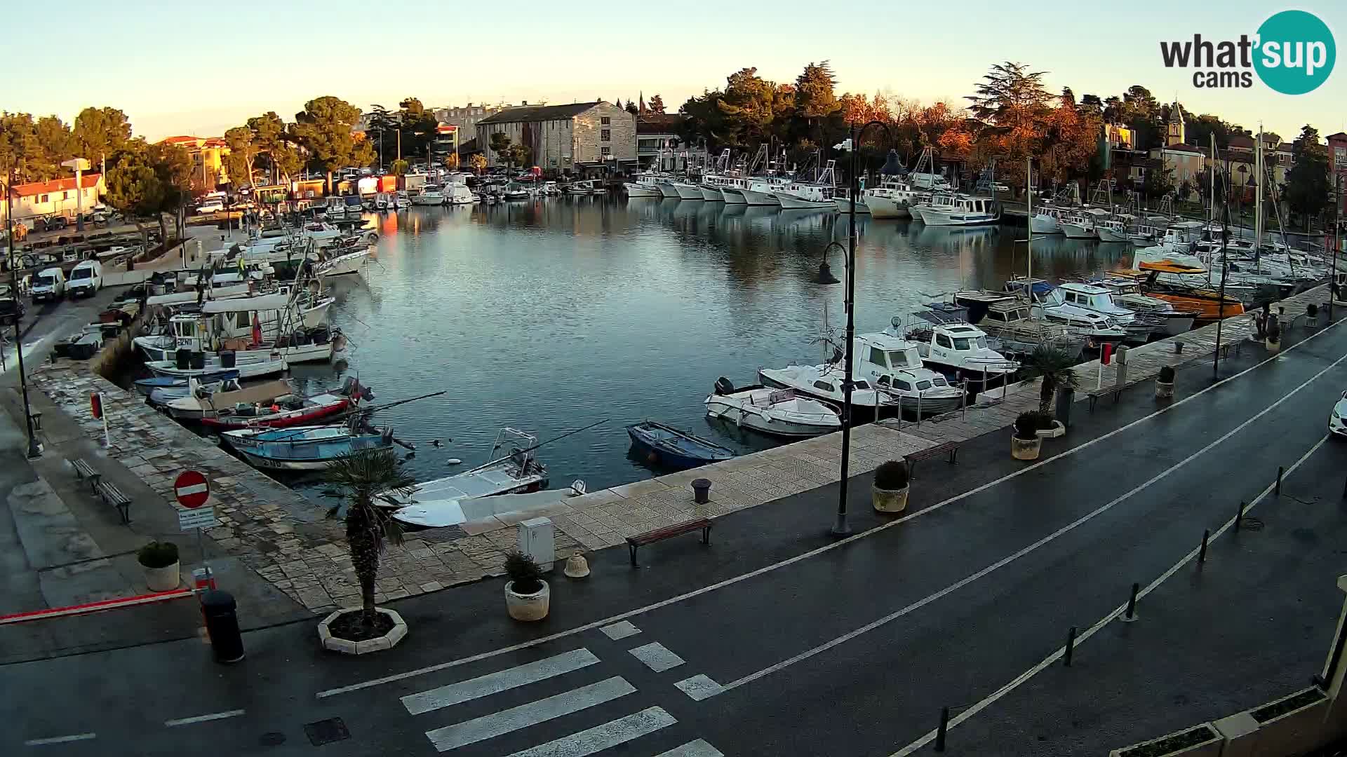 Novigrad webcam Mandrač | Cittanova in Istria – Porto vecchio