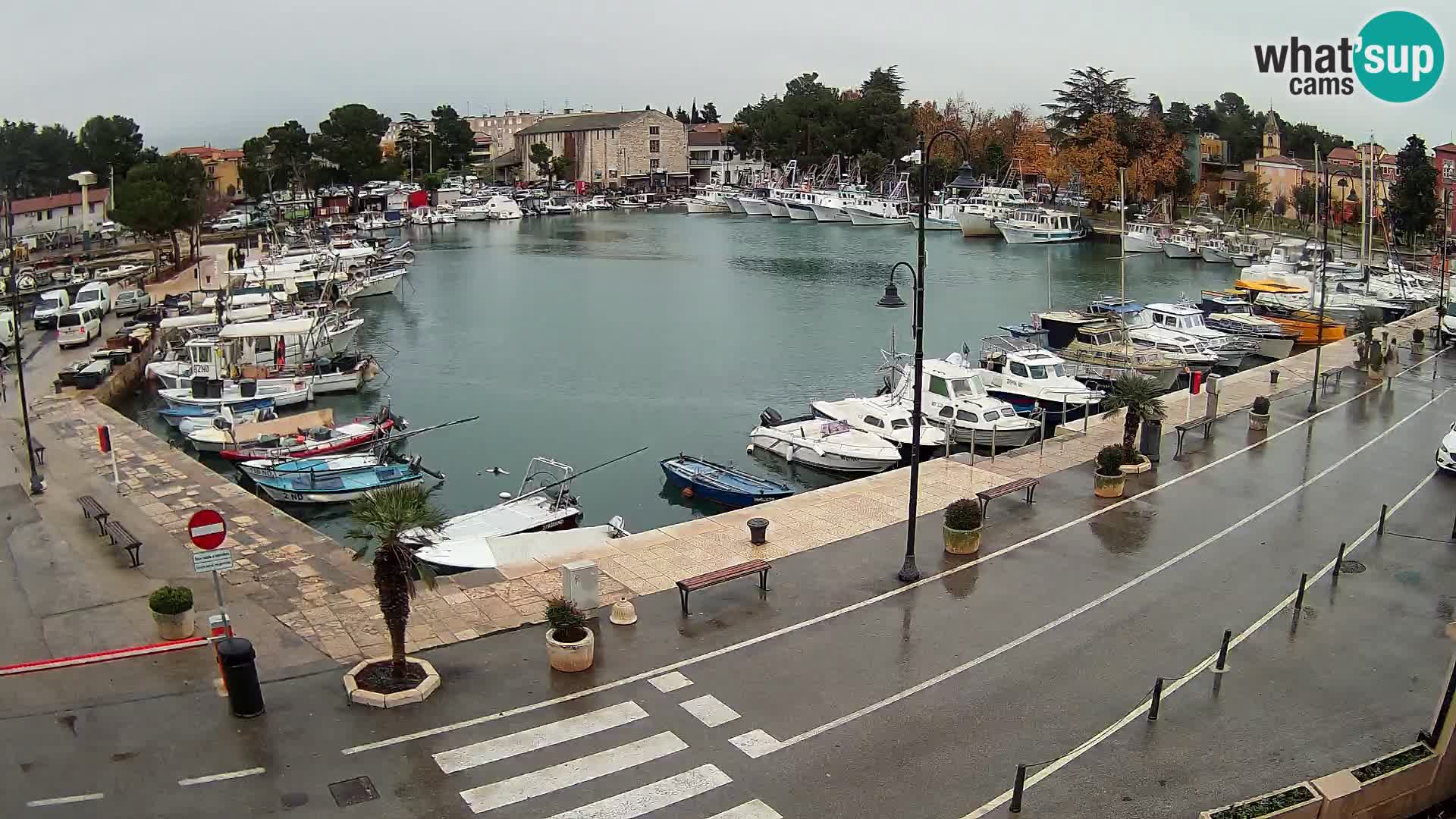 Novigrad – puerto viejo “Mandrač”