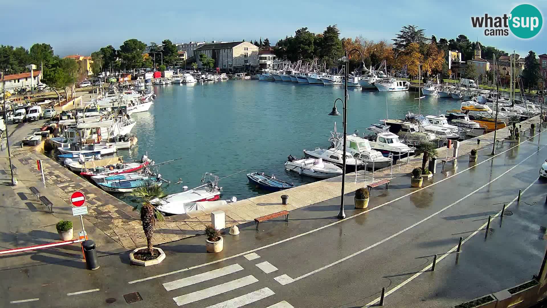 Novigrad webcam Mandrač | alten Hafen – Istrien