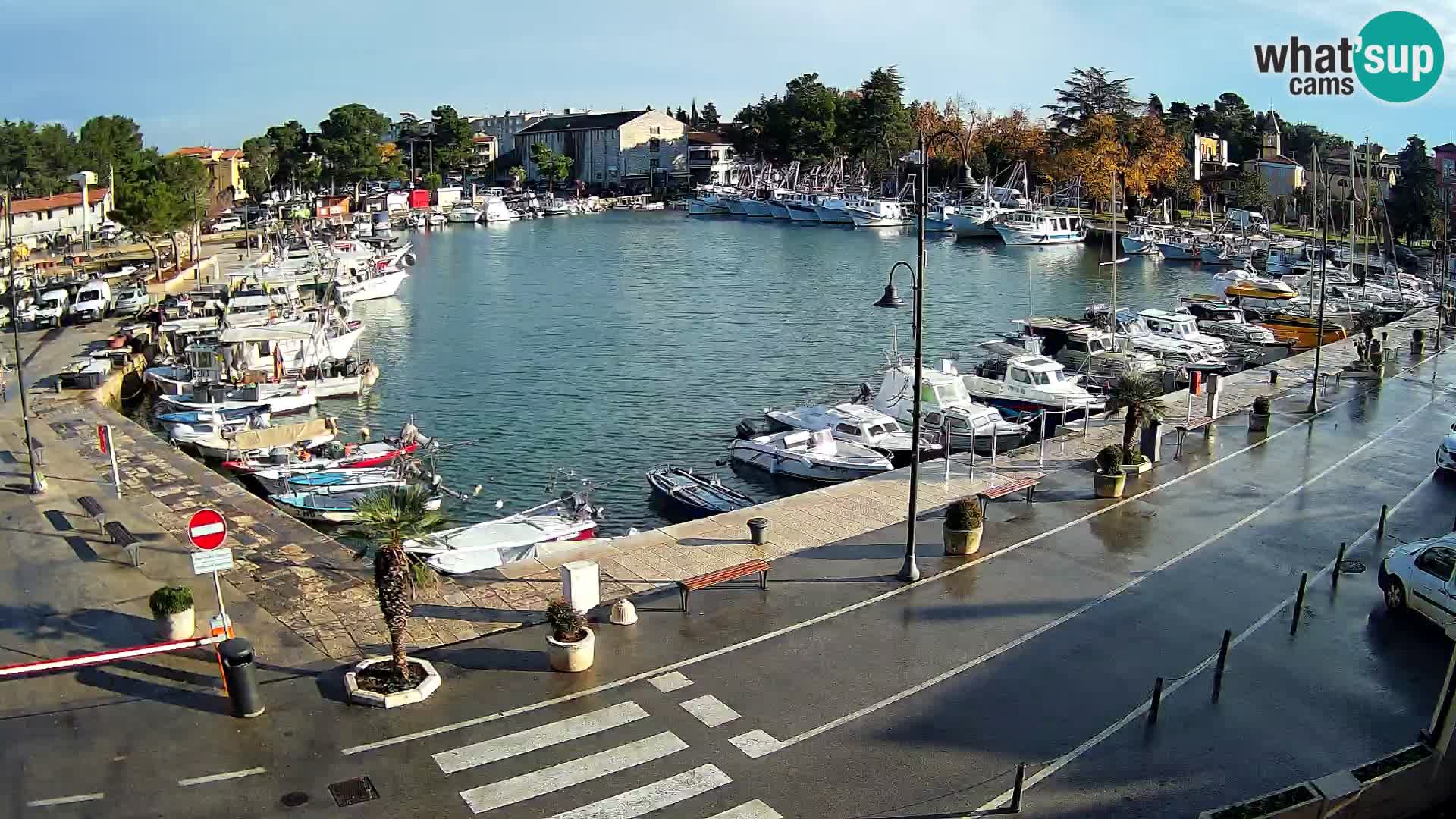 Novigrad webcam Mandrač | Cittanova in Istria – Porto vecchio