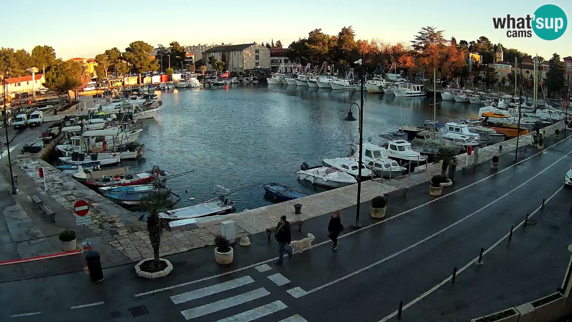 Novigrad kamera Mandrač – Istra