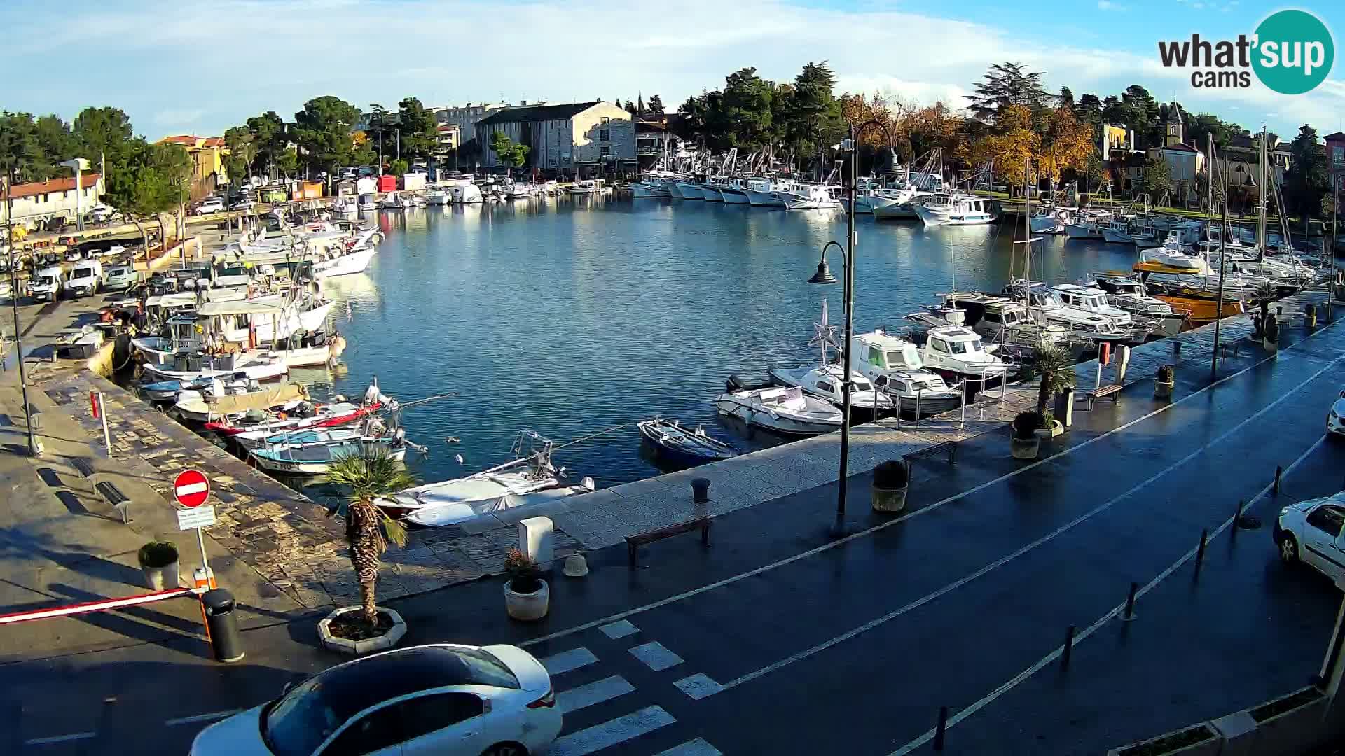 Novigrad –  Mandrač