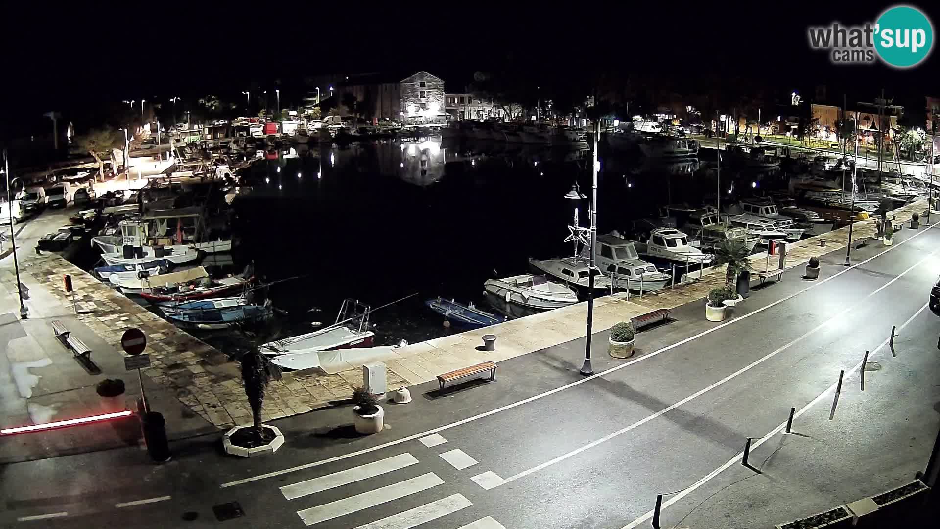 Novigrad webcam Mandrač | alten Hafen – Istrien